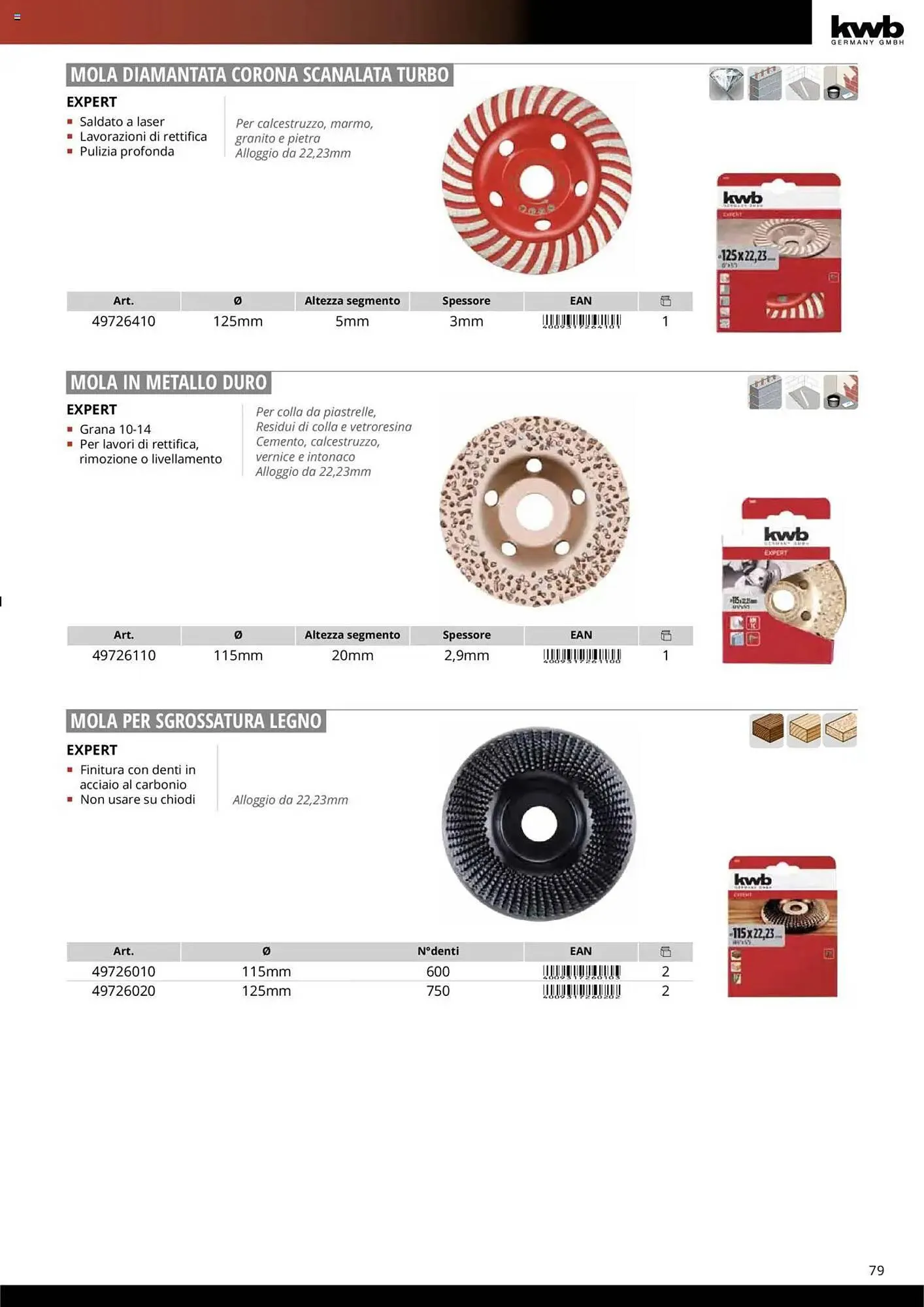 Volantino Einhell da 10 ottobre a 31 dicembre di 2025 - Pagina del volantino 81