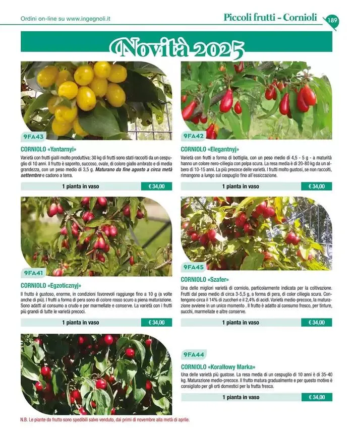Catalogo guida 2025 da 20 gennaio a 31 dicembre di 2025 - Pagina del volantino 191