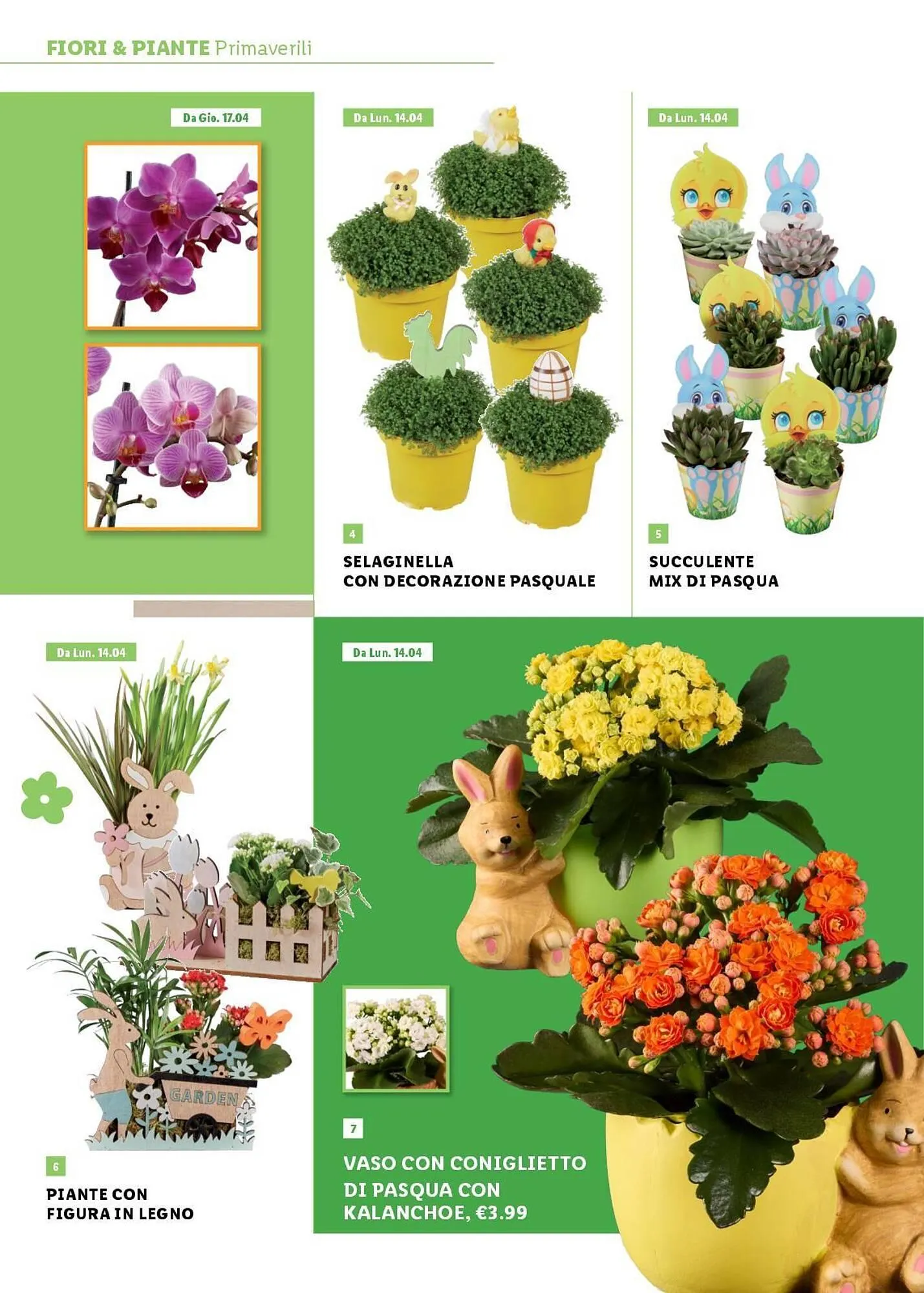 Volantino Lidl da 24 marzo a 20 aprile di 2025 - Pagina del volantino 47