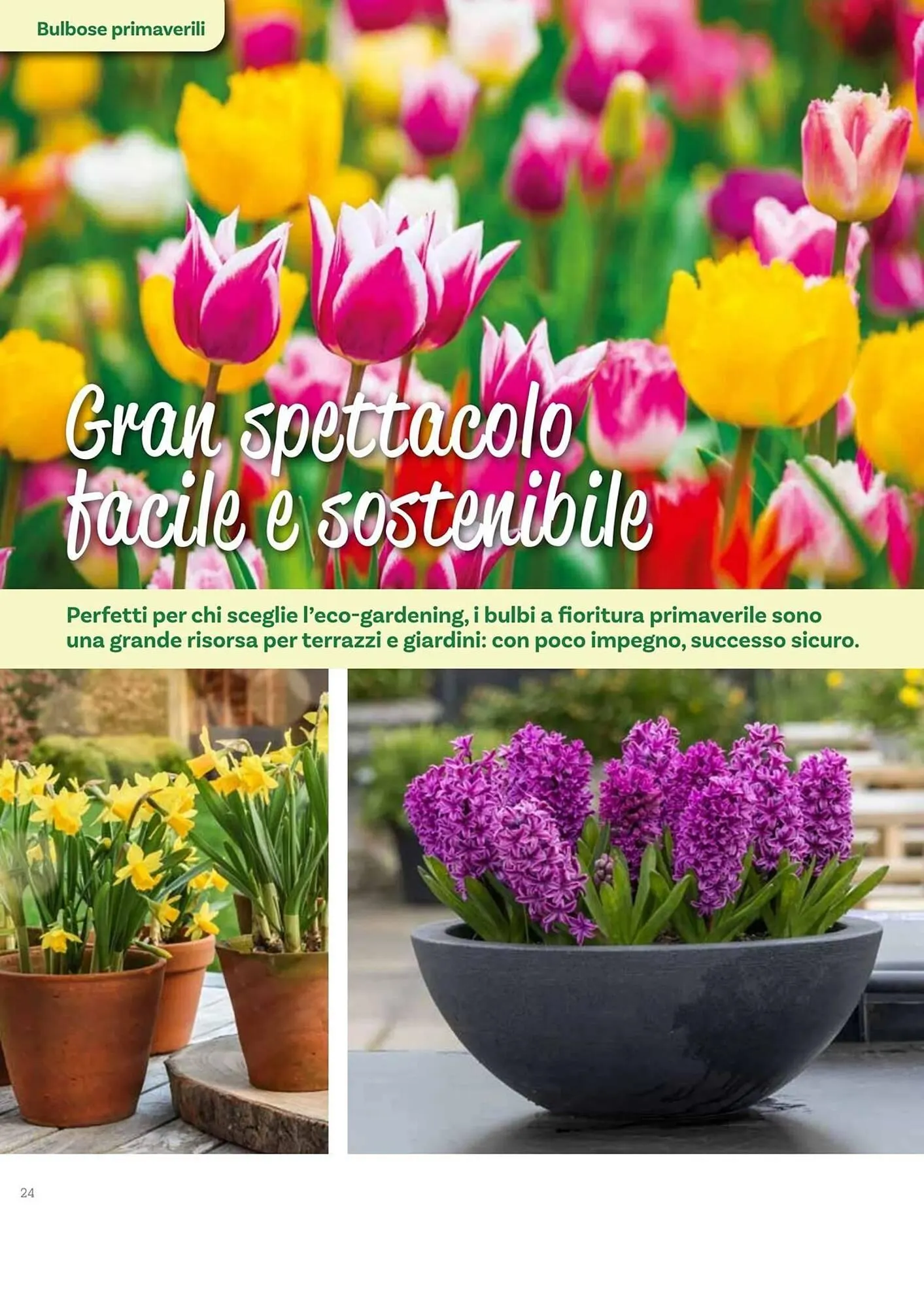 Volantino Viridea da 17 ottobre a 22 dicembre di 2025 - Pagina del volantino 24