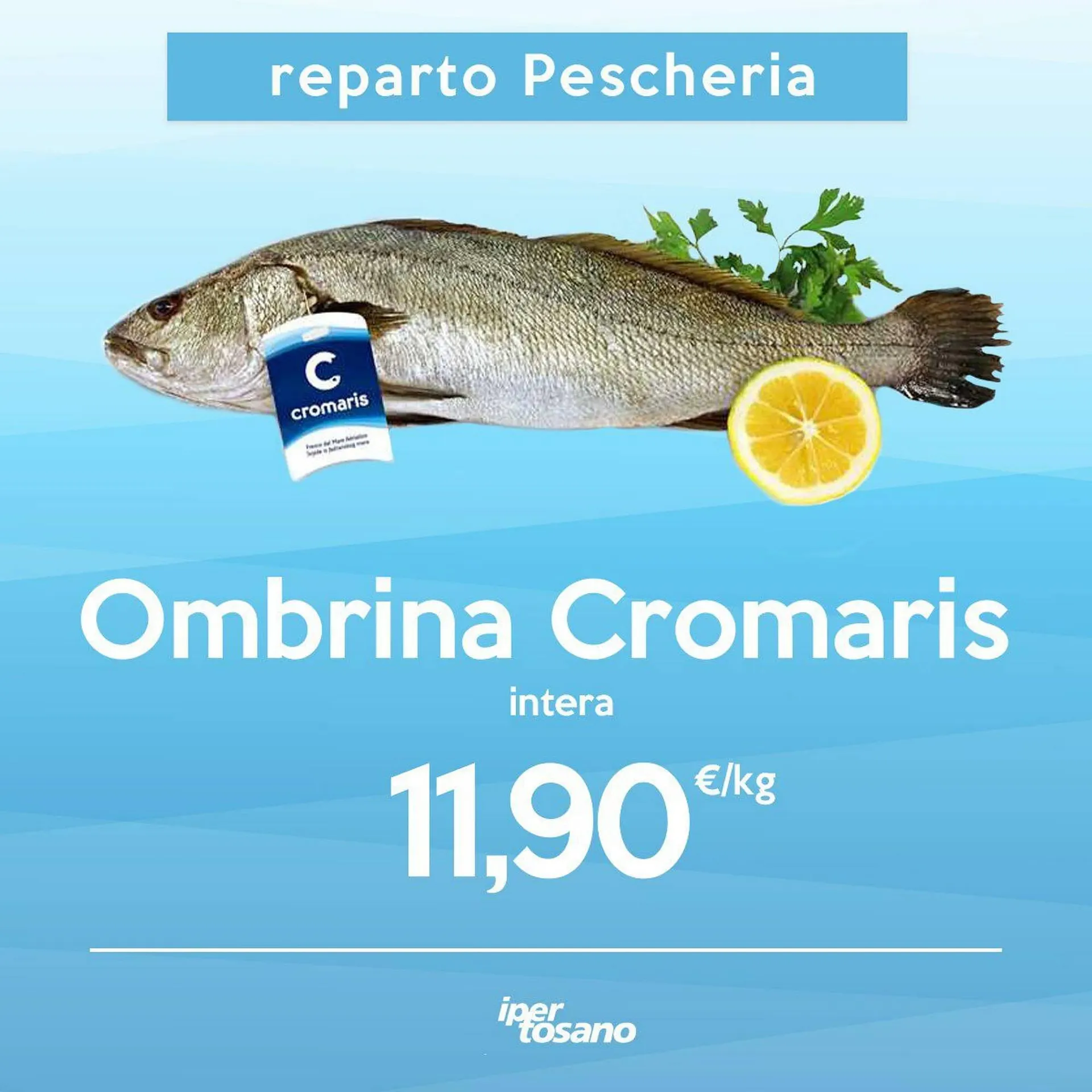 Volantino Iper Tosano da 8 dicembre a 14 dicembre di 2025 - Pagina del volantino 5