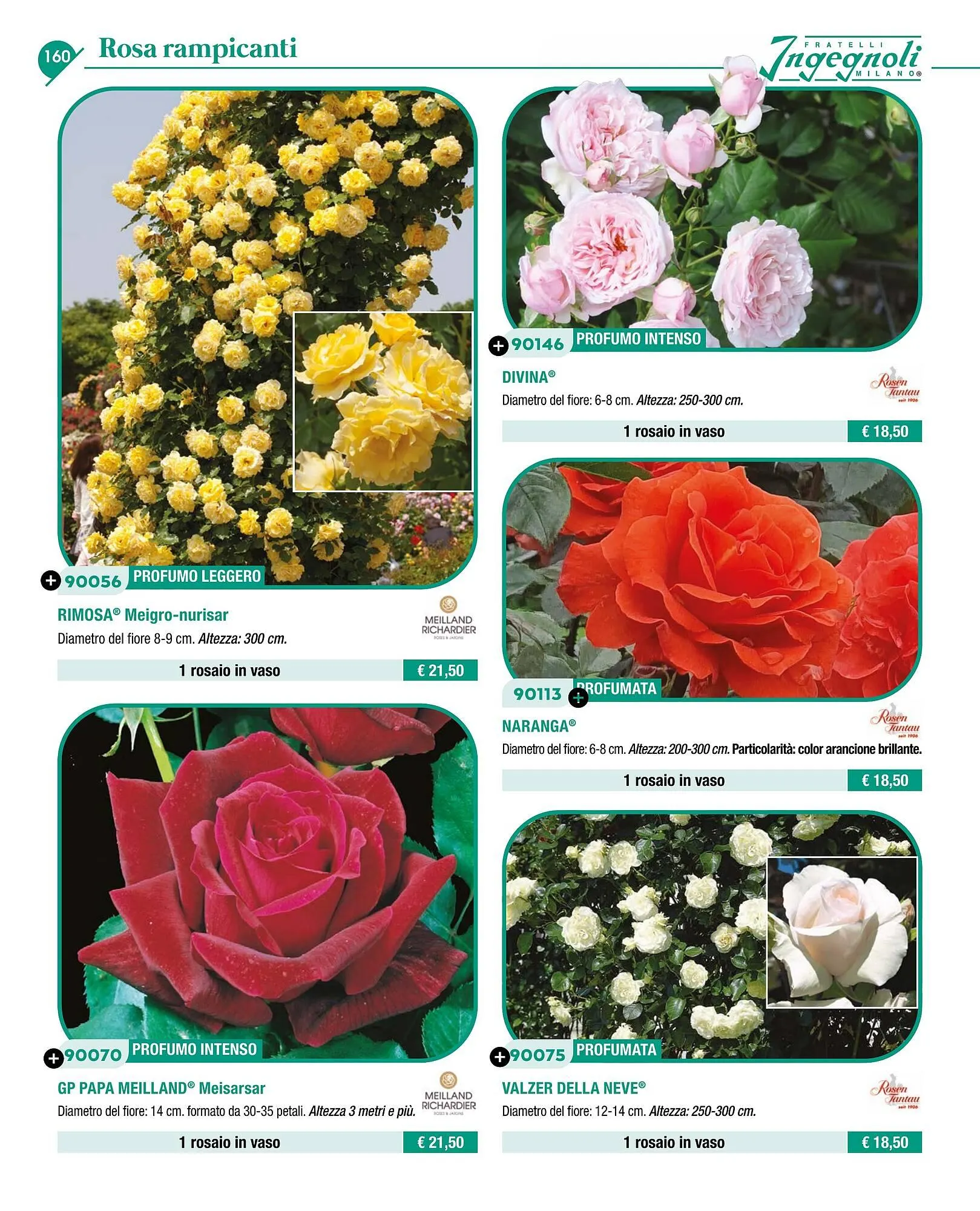 Volantino Ingegnoli da 4 novembre a 31 dicembre di 2025 - Pagina del volantino 162