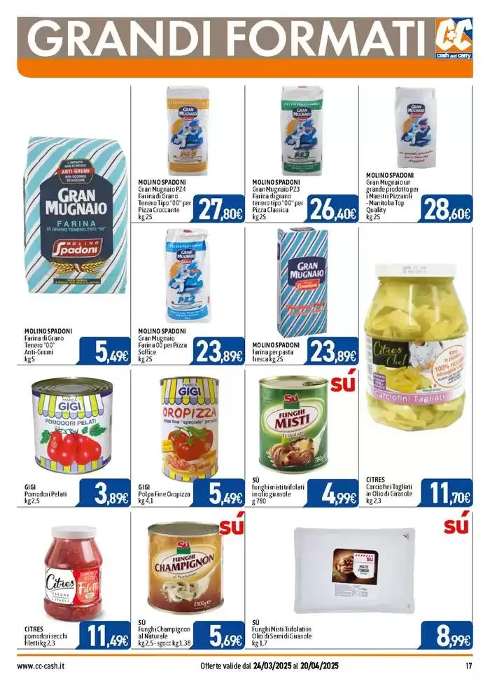 PROFESSIONAL da 24 marzo a 20 aprile di 2025 - Pagina del volantino 17