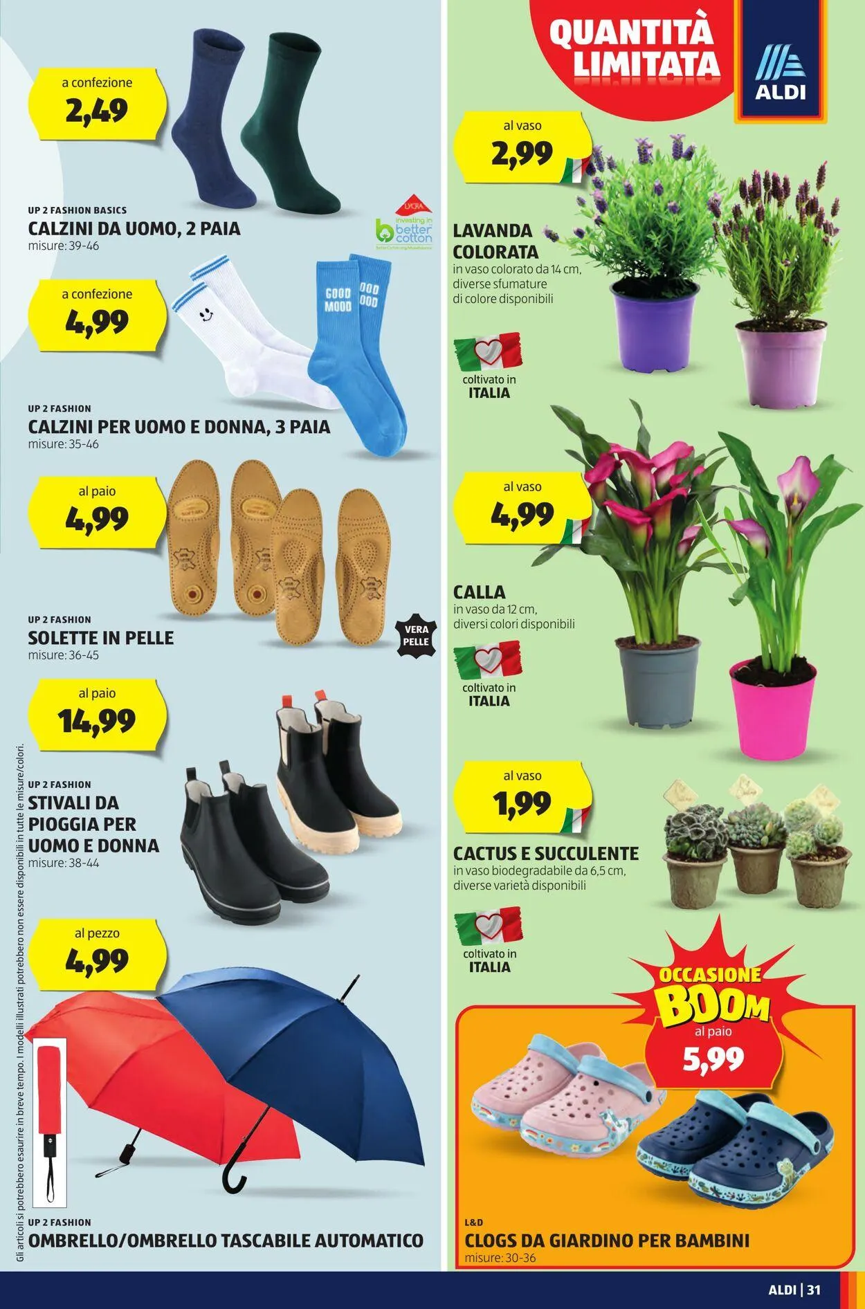 Aldi Volantino attuale da 31 marzo a 6 aprile di 2025 - Pagina del volantino 31