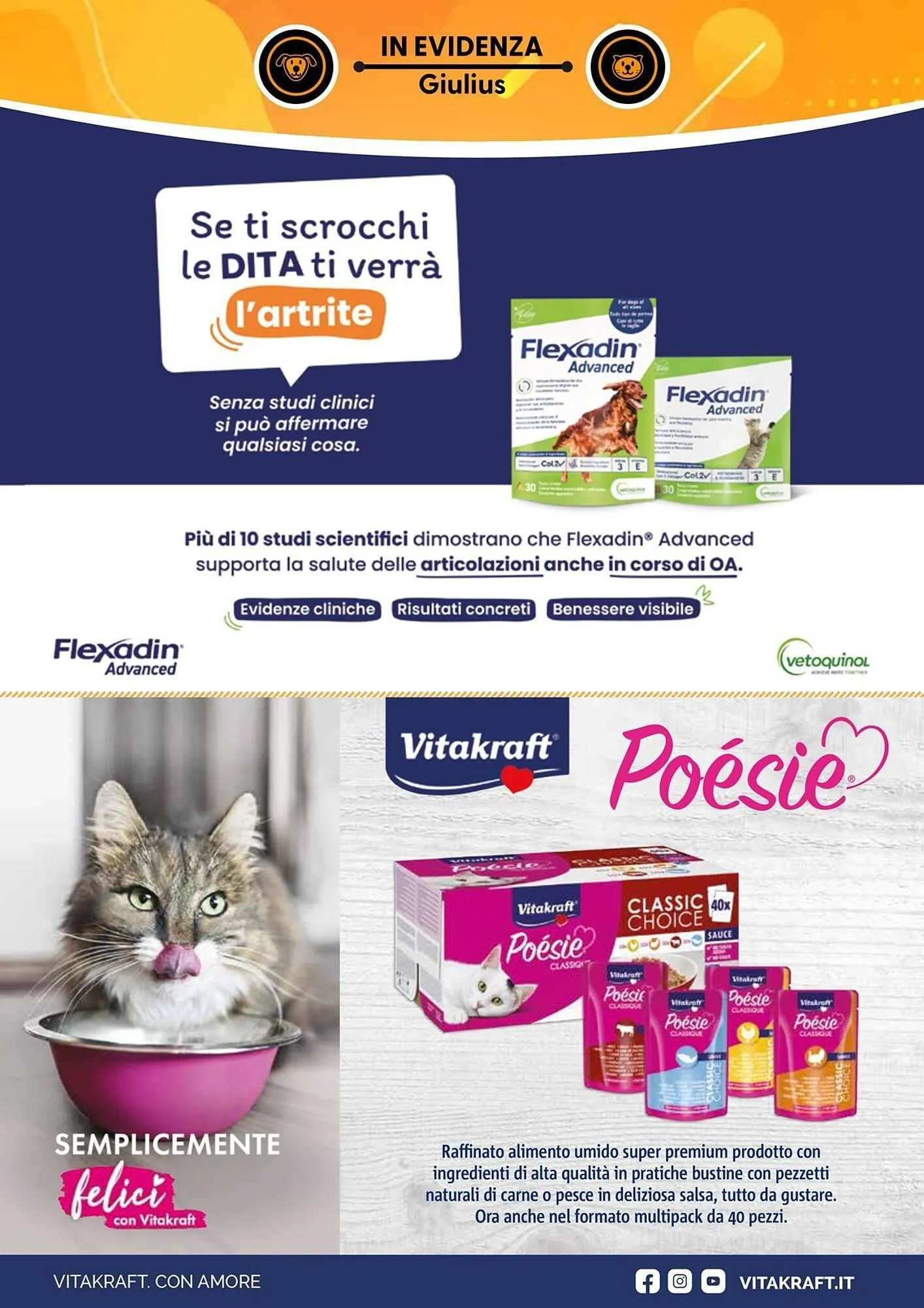 Volantino Giulius da 5 gennaio a 28 febbraio di 2026 - Pagina del volantino 3