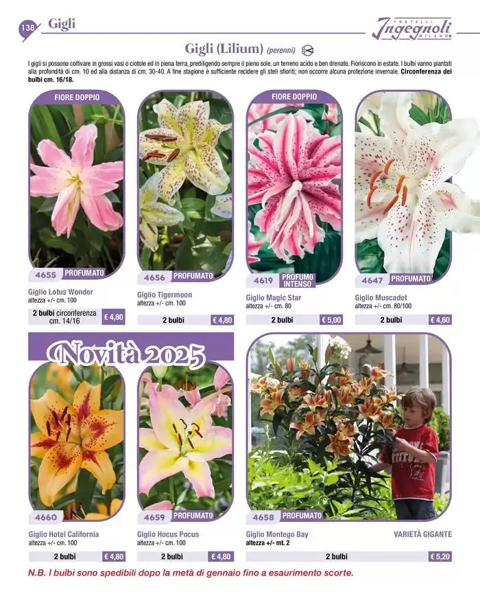 Novita da 4 novembre a 31 dicembre di 2025 - Pagina del volantino 11