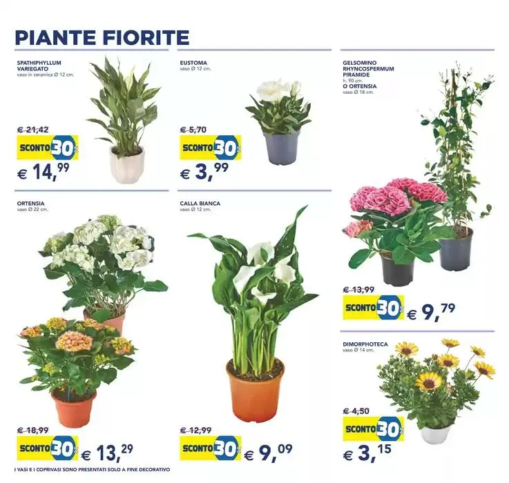 Festa dei fiori da 23 aprile a 6 maggio di 2025 - Pagina del volantino 6