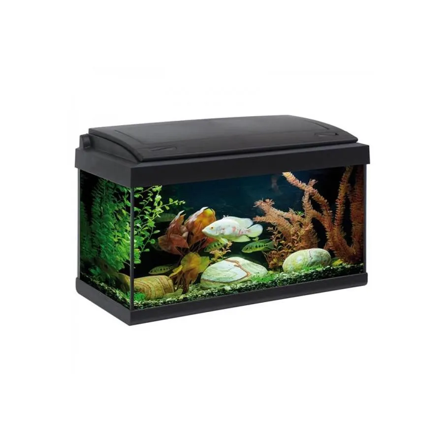 Acquario milo led