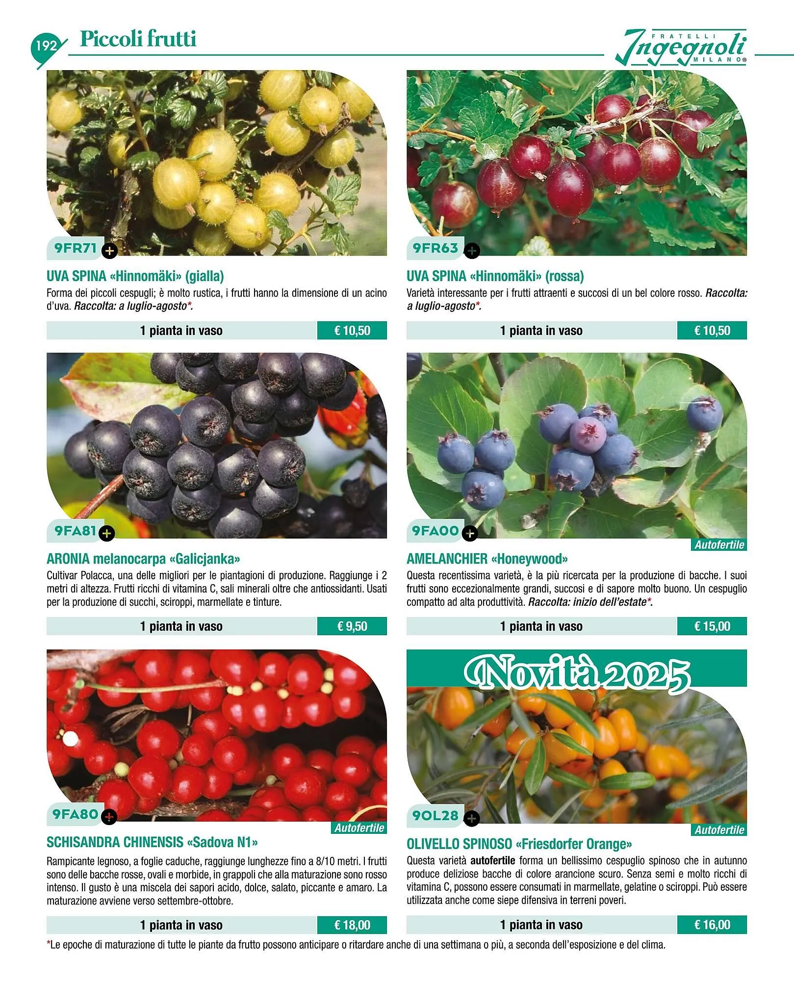 Volantino Ingegnoli da 4 novembre a 31 dicembre di 2025 - Pagina del volantino 194