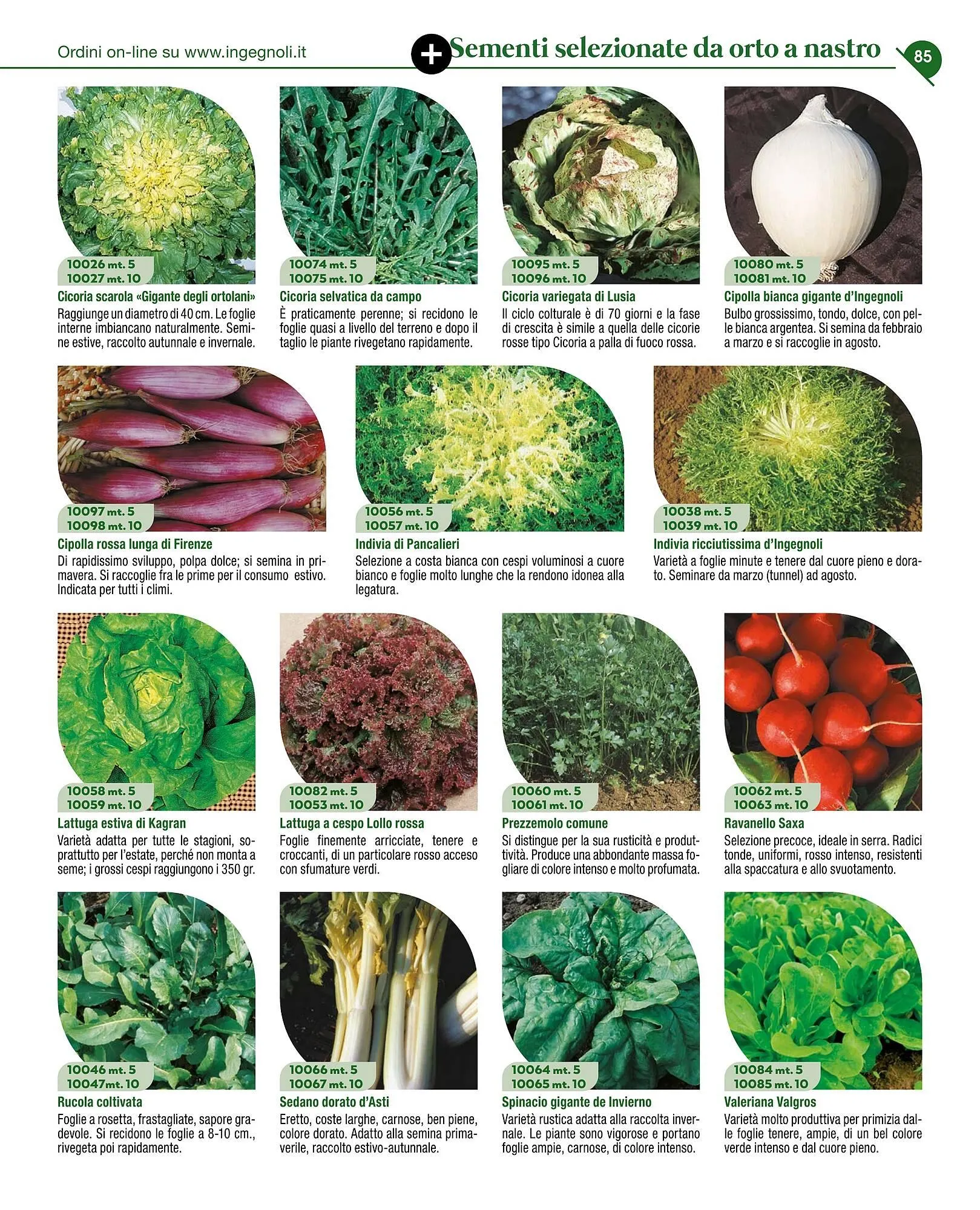 Volantino Ingegnoli da 4 novembre a 31 dicembre di 2025 - Pagina del volantino 87