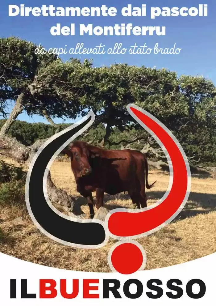 Sotto da 7 gennaio a 19 gennaio di 2025 - Pagina del volantino 9