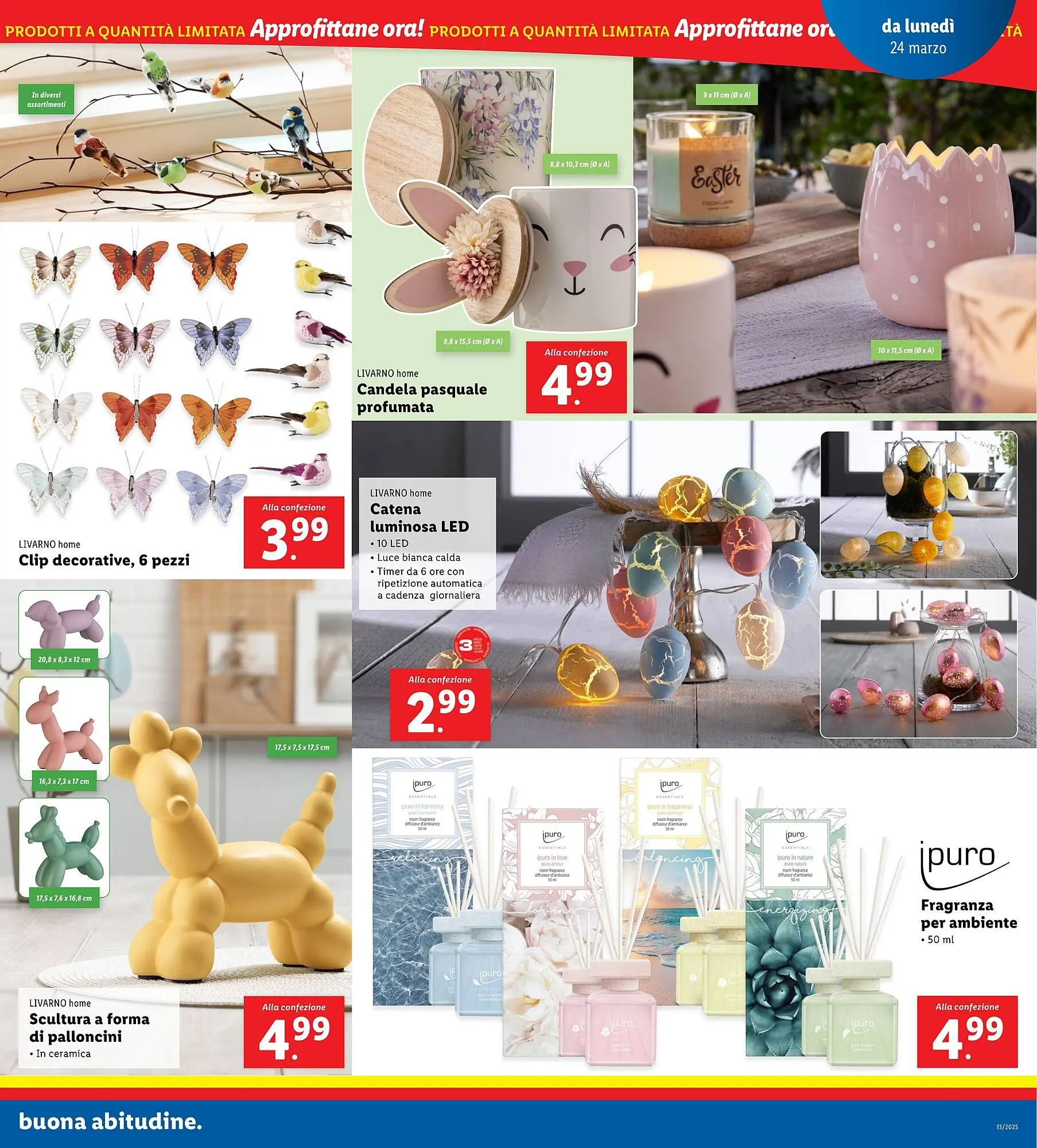 Volantino Lidl da 24 marzo a 30 marzo di 2025 - Pagina del volantino 29