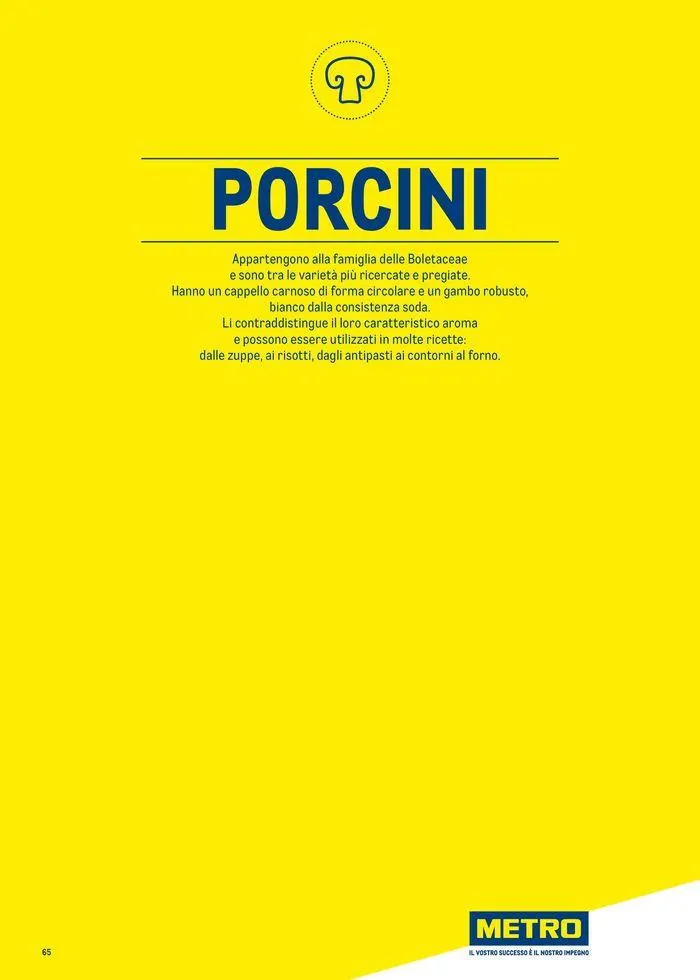 Catalogo Surgelati 2024 da 21 maggio a 31 maggio di 2025 - Pagina del volantino 65