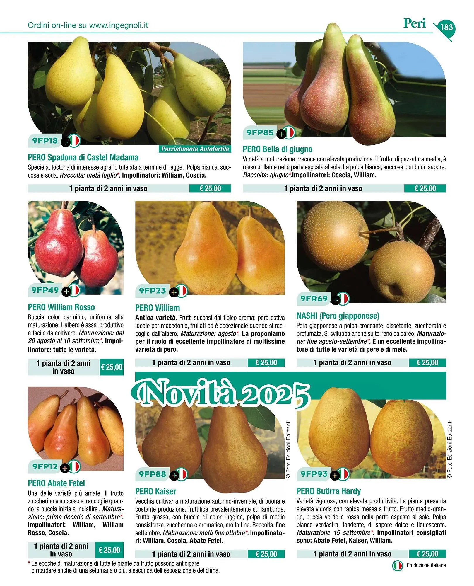 Volantino Ingegnoli da 4 novembre a 31 dicembre di 2025 - Pagina del volantino 185