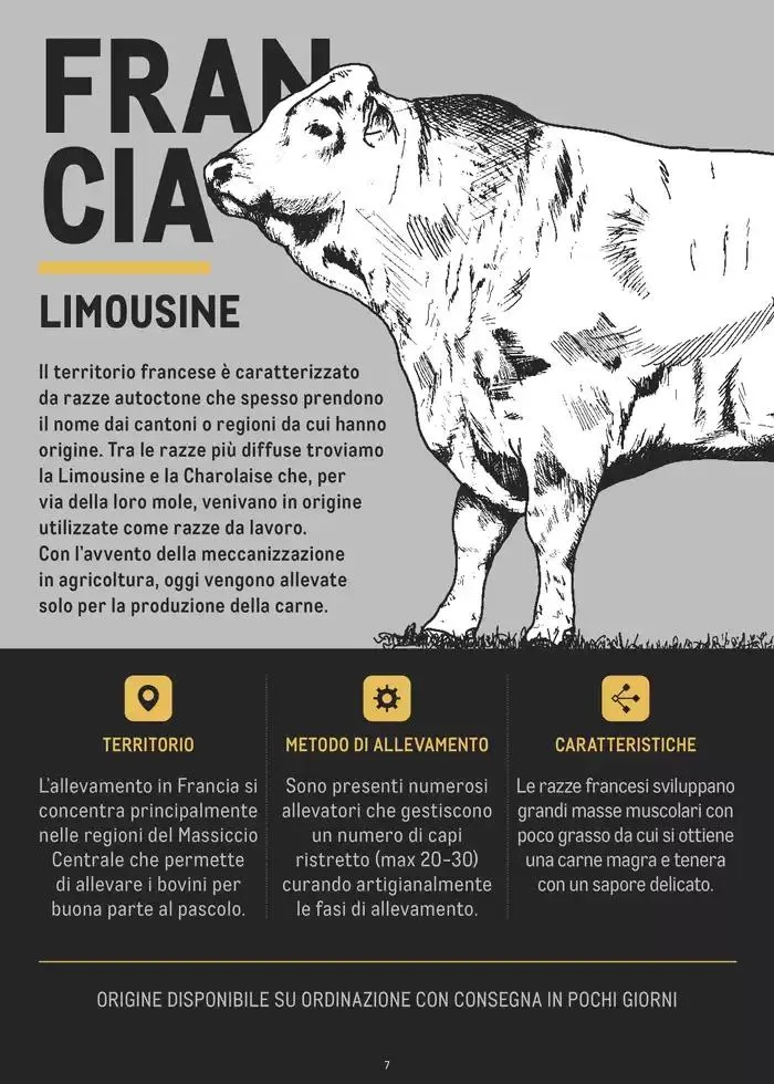 CATALOGO CARNE 2024 da 2 gennaio a 31 agosto di 2025 - Pagina del volantino 7