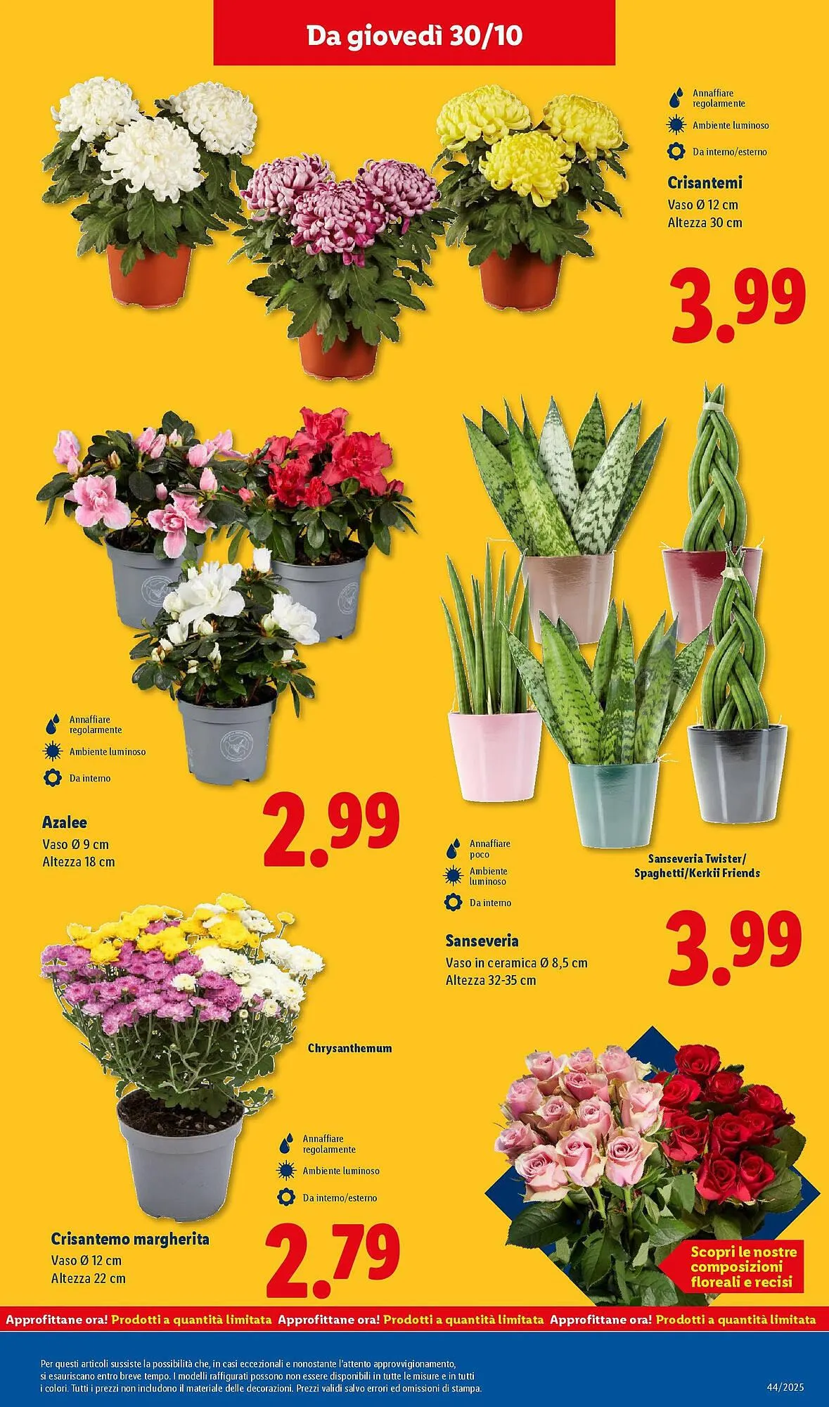 Volantino Lidl da 27 ottobre a 2 novembre di 2025 - Pagina del volantino 43