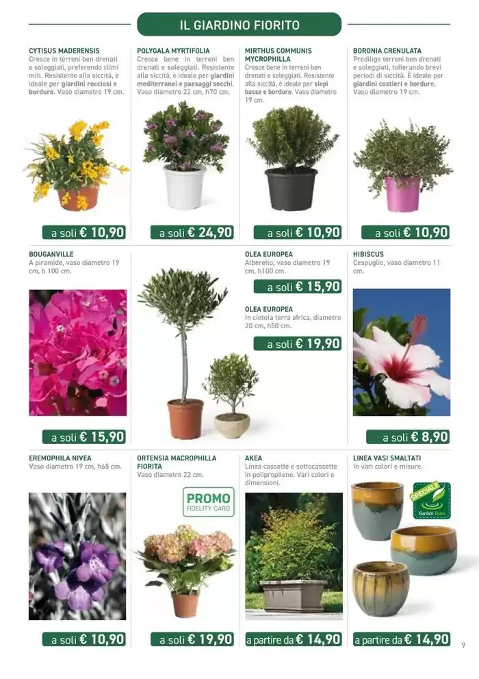 Festa di Primavera da 13 marzo a 13 aprile di 2025 - Pagina del volantino 9