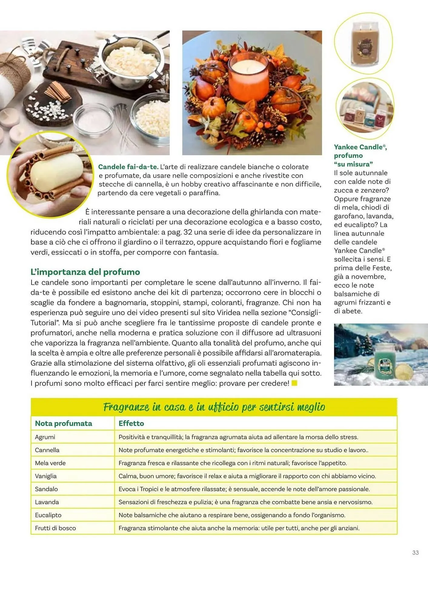 Volantino Viridea da 17 ottobre a 22 dicembre di 2025 - Pagina del volantino 33