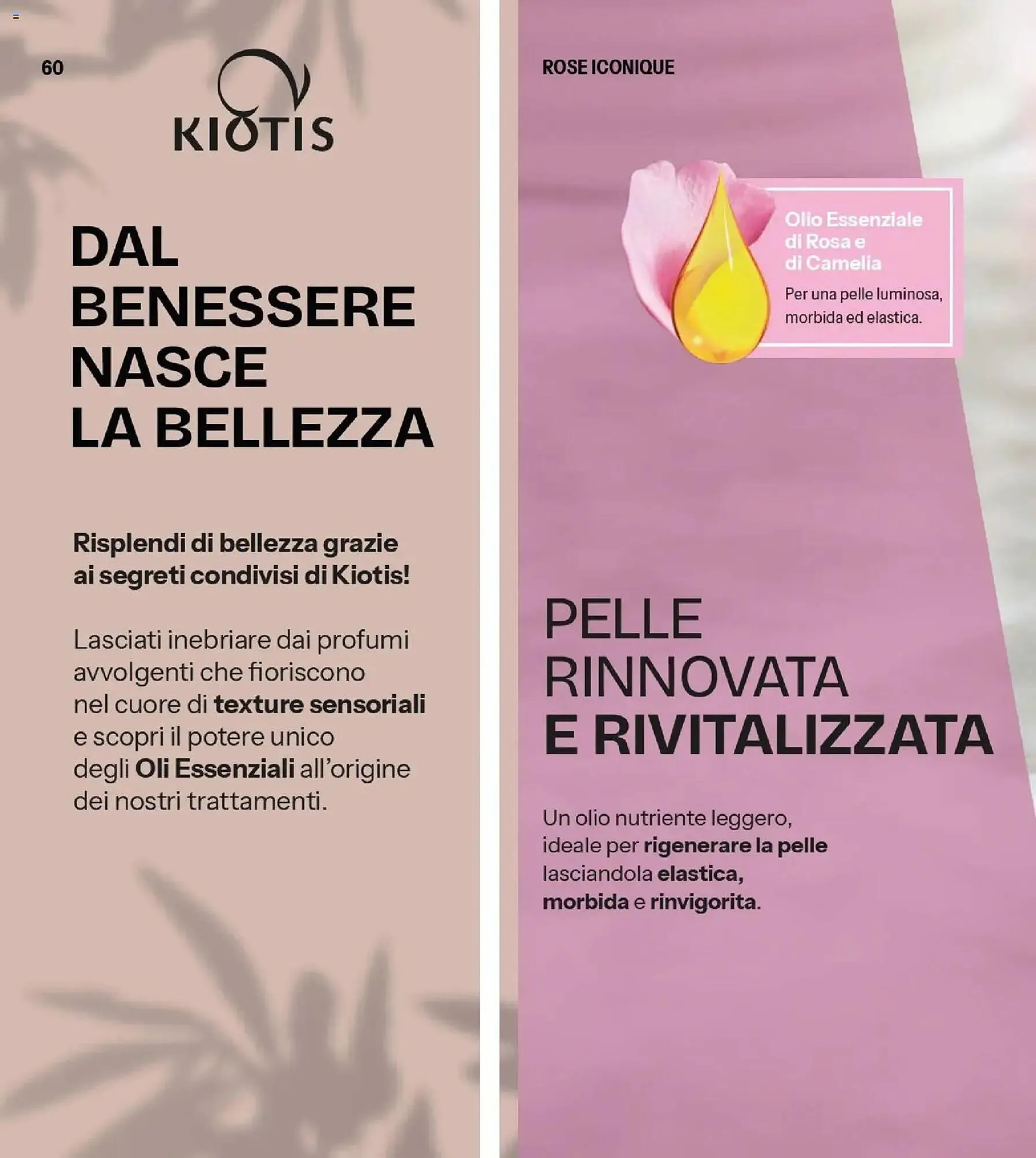 Catalogo Stanhome da 10 marzo a 27 marzo di 2026 - Pagina del volantino 60