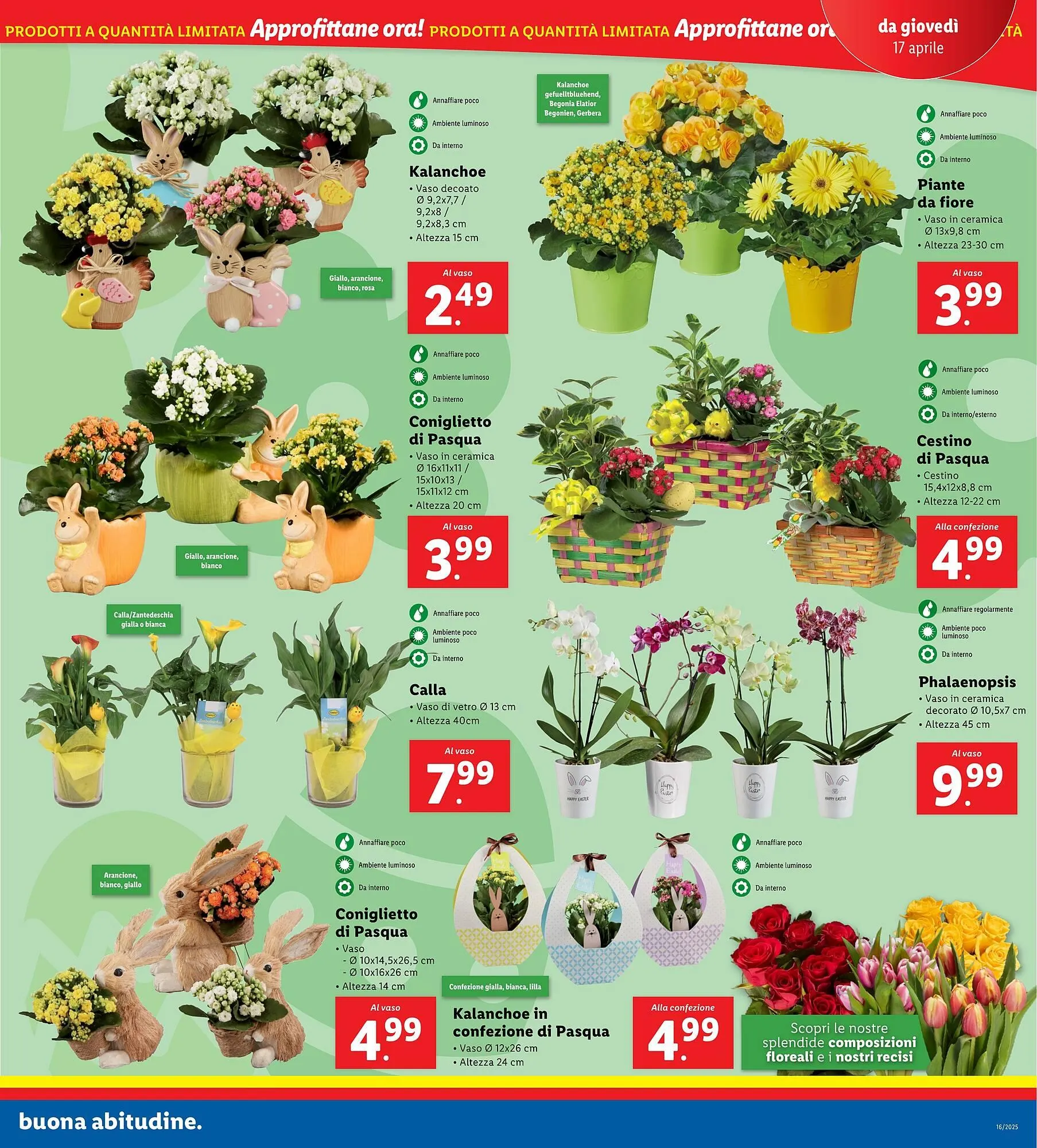 Volantino Lidl da 14 aprile a 19 aprile di 2025 - Pagina del volantino 29