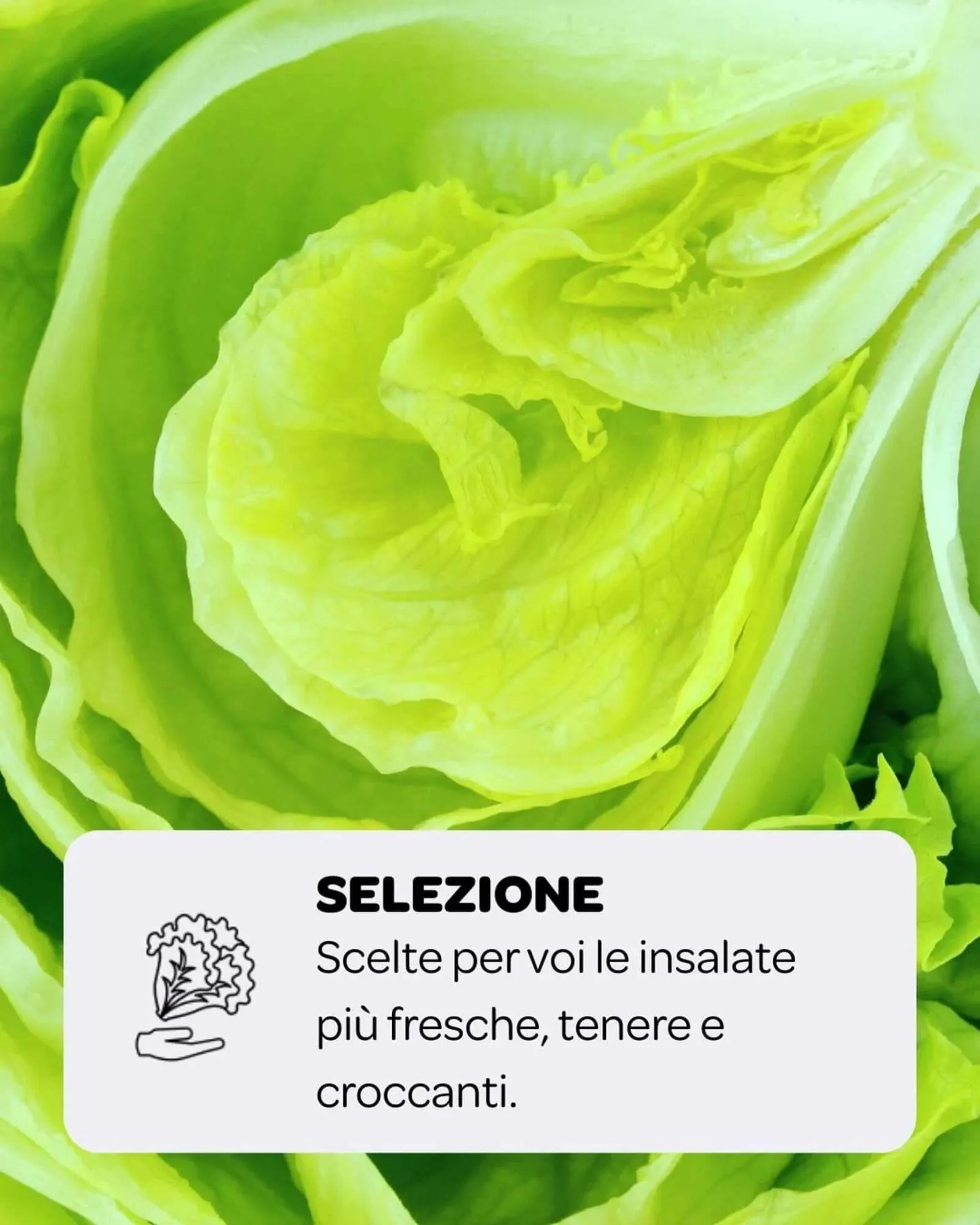 Volantino Ekom da 1 agosto a 7 agosto di 2025 - Pagina del volantino 3