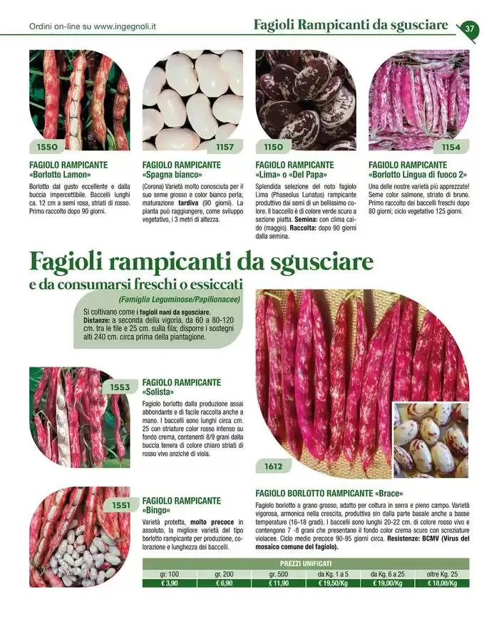 Catalogo guida 2025 da 20 gennaio a 31 dicembre di 2025 - Pagina del volantino 39