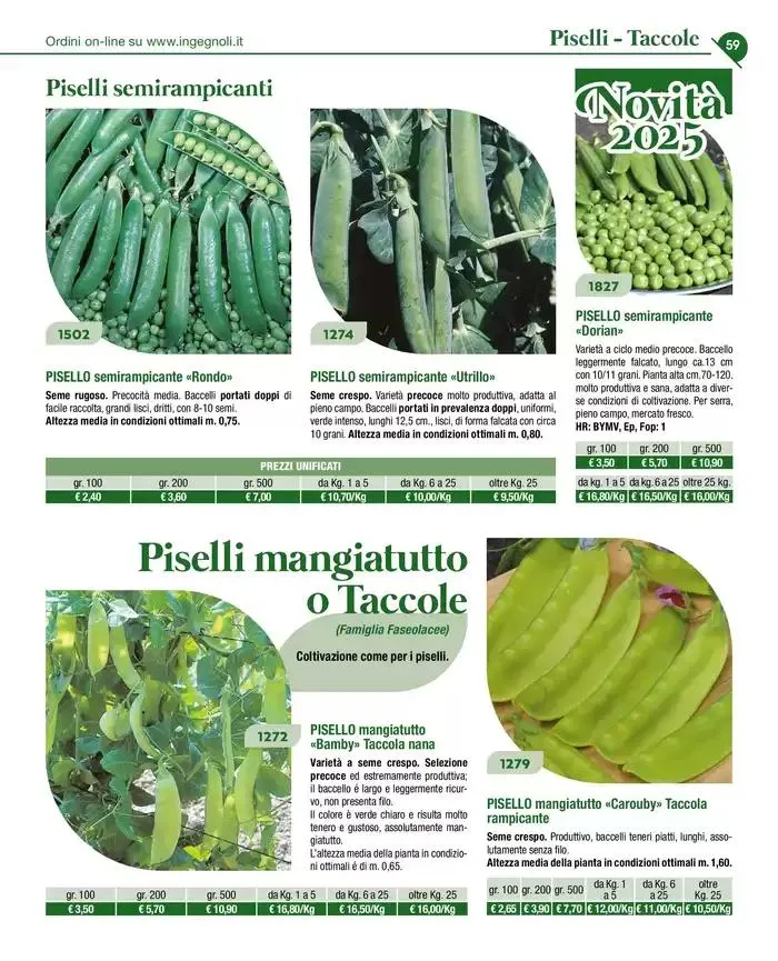 Novita 2025 da 4 novembre a 31 dicembre di 2025 - Pagina del volantino 58