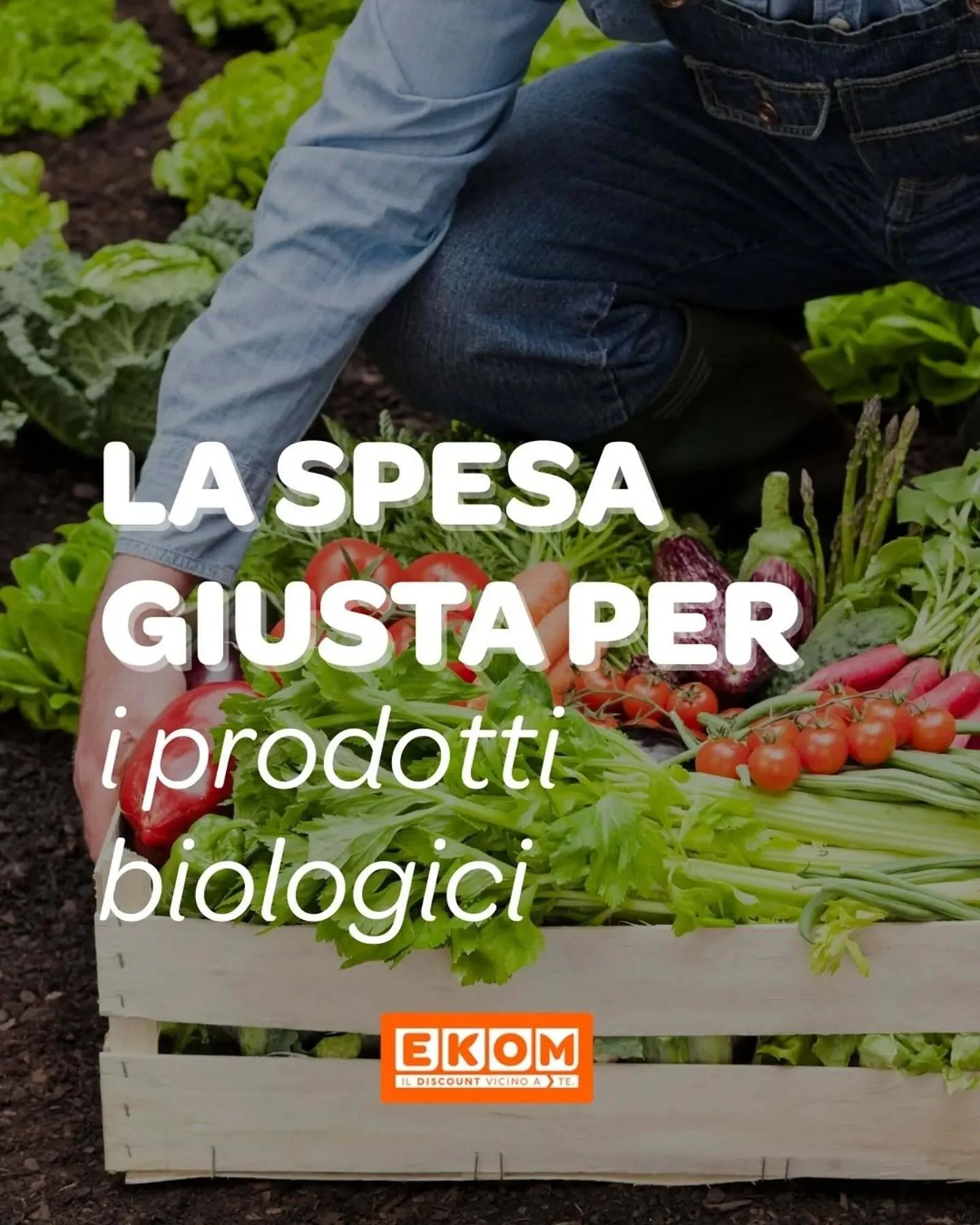 Volantino Ekom da 20 febbraio a 5 marzo di 2026 - Pagina del volantino 1
