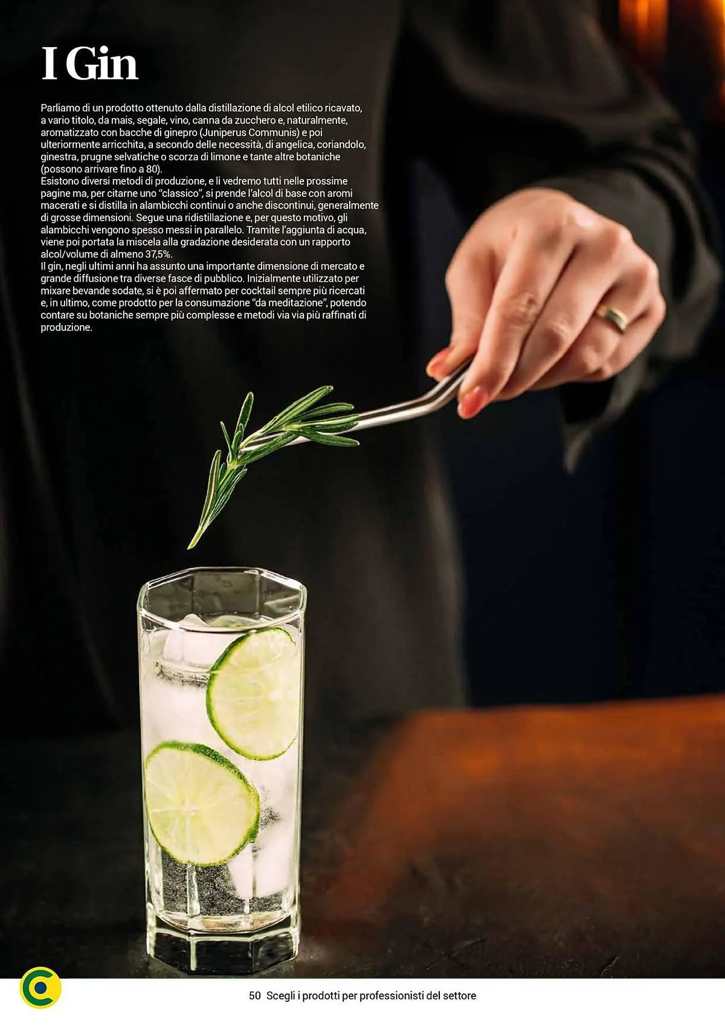 Volantino Centro Cash da 24 luglio a 31 dicembre di 2025 - Pagina del volantino 50