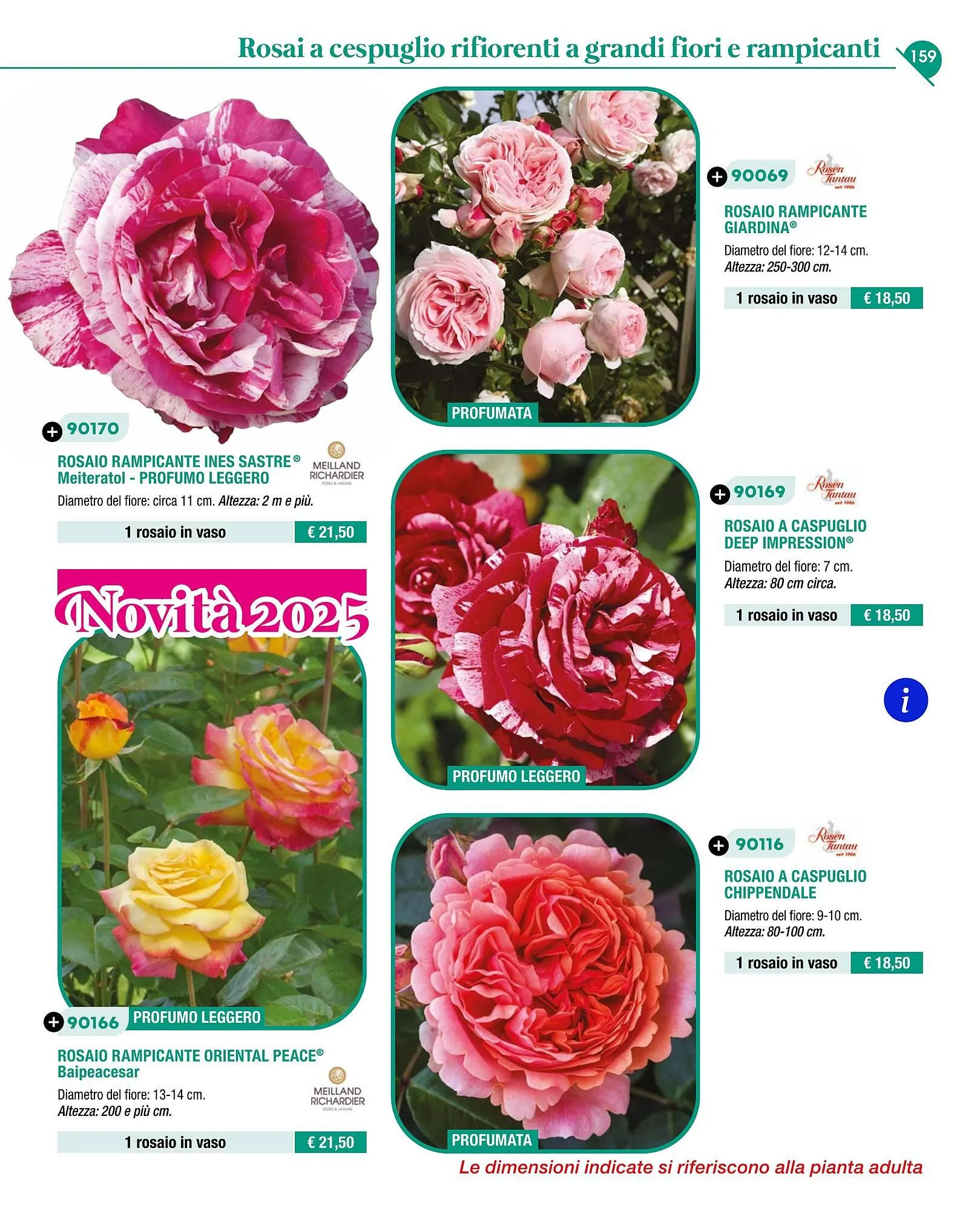 Volantino Ingegnoli da 4 novembre a 31 dicembre di 2025 - Pagina del volantino 161