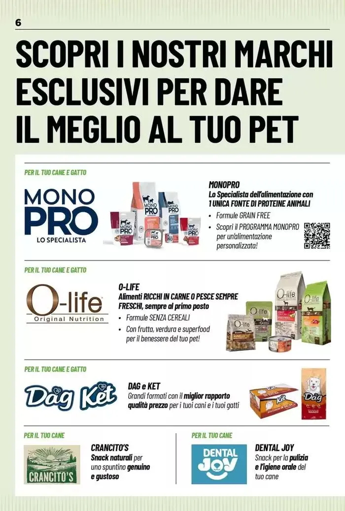 Edizione straordinaria da 2 ottobre a 3 novembre di 2024 - Pagina del volantino 13