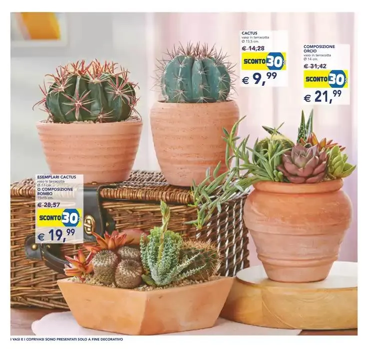 Festa dei fiori da 23 aprile a 6 maggio di 2025 - Pagina del volantino 10