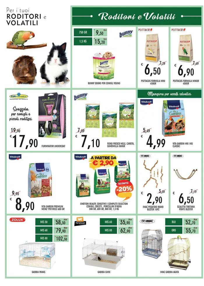 Acquari animali da 18 settembre a 14 ottobre di 2024 - Pagina del volantino 11