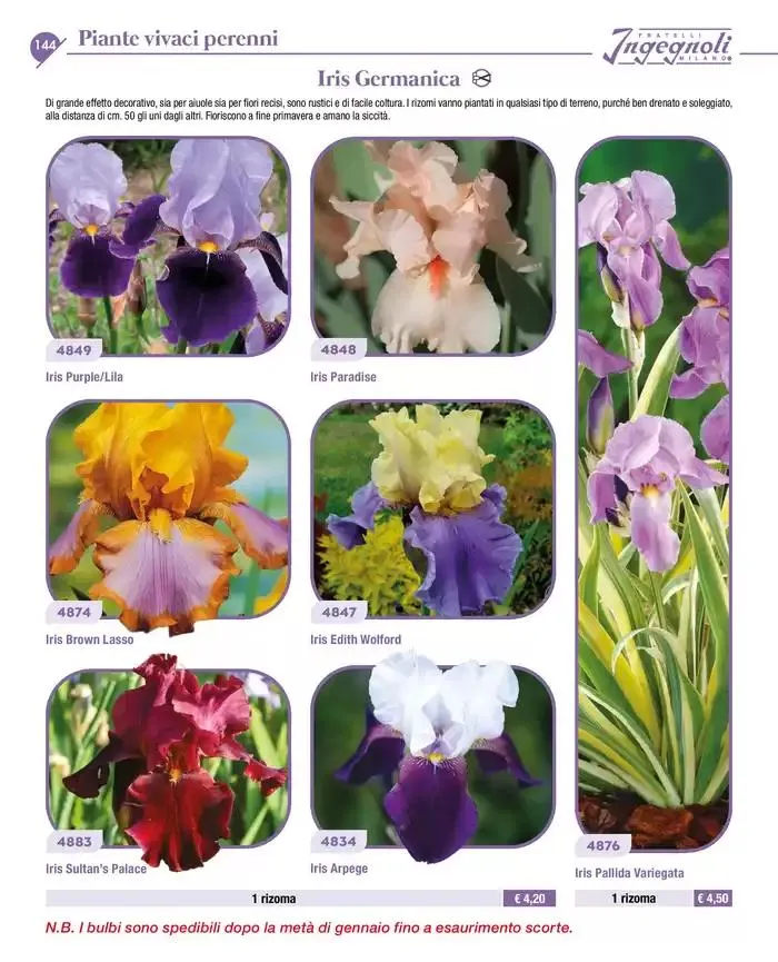 Novita da 4 novembre a 31 dicembre di 2025 - Pagina del volantino 17