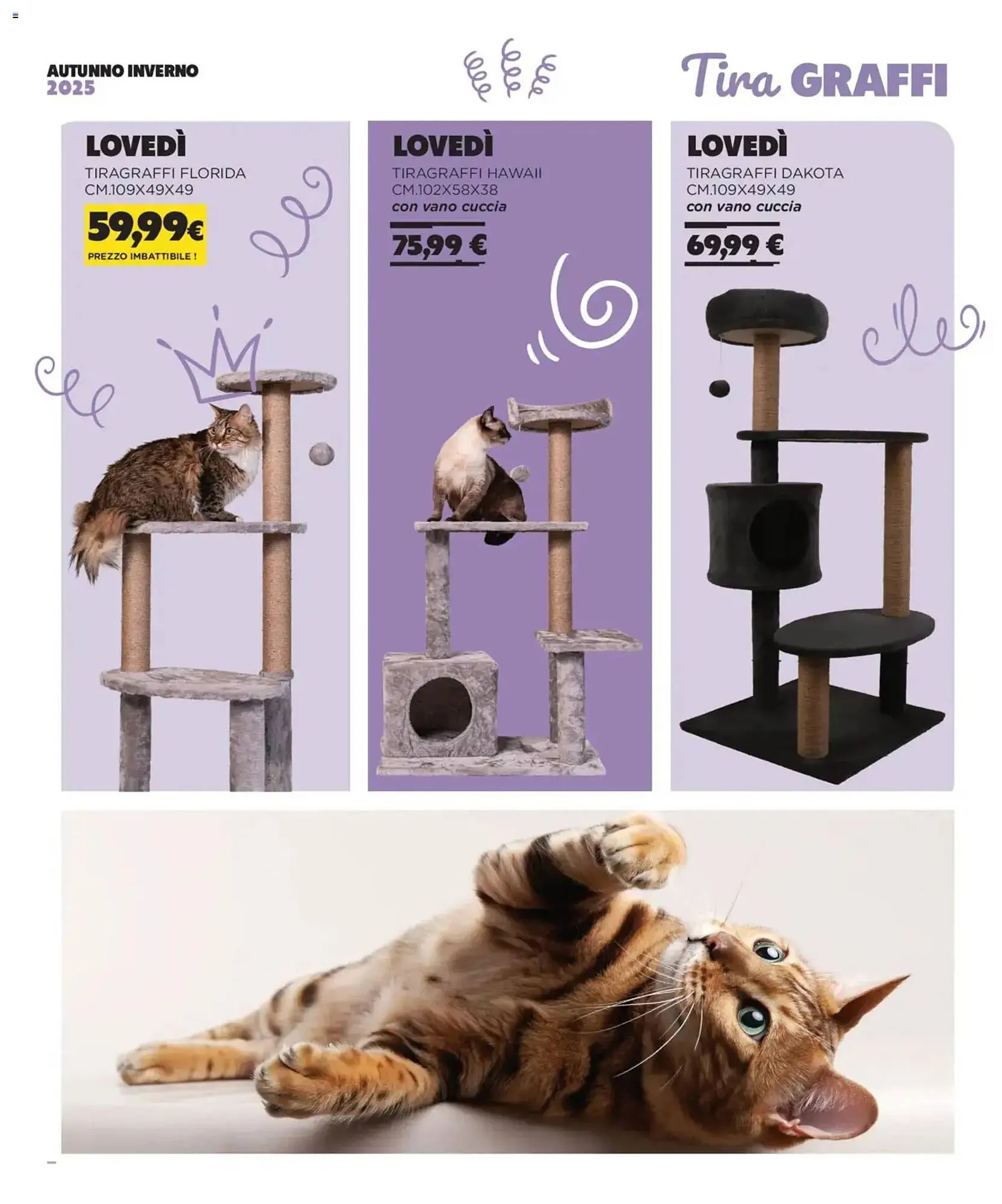 Volantino Arcaplanet da 1 novembre a 28 febbraio di 2026 - Pagina del volantino 13