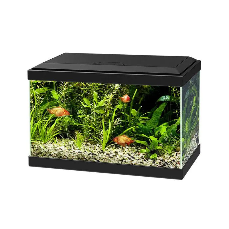 Ciano Acquario Acqua 20 Led Nero