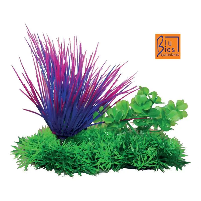 Blu Bios Pianta Dekor Aquatic