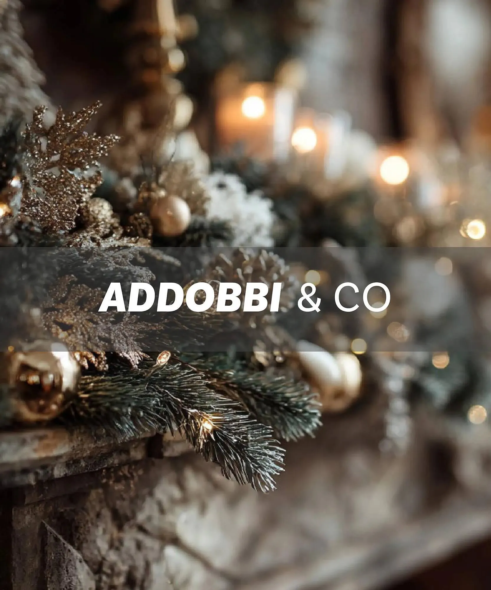 Volantino Max Factory da 12 novembre a 8 dicembre di 2025 - Pagina del volantino 13