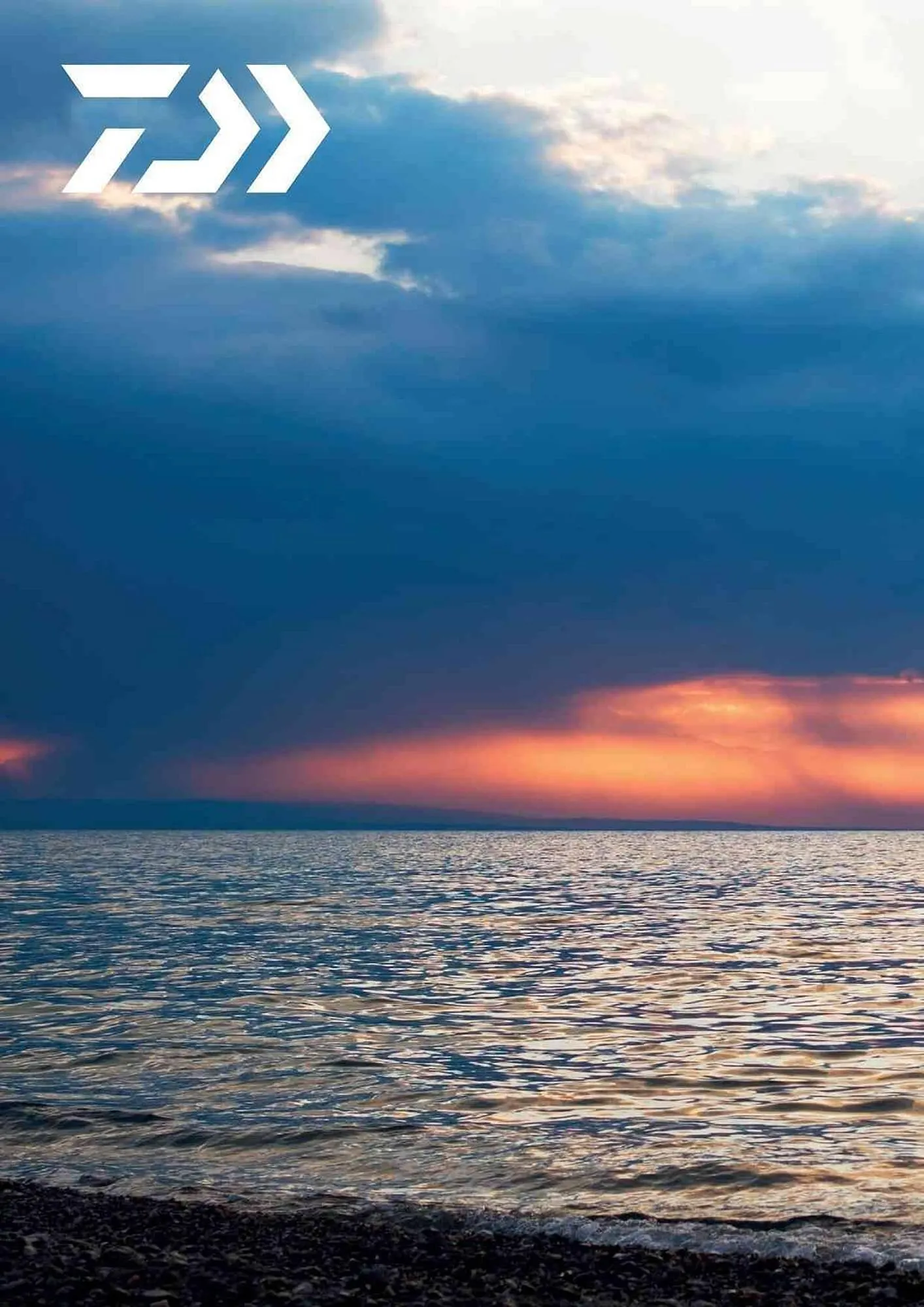 Volantino Daiwa da 4 febbraio a 31 dicembre di 2025 - Pagina del volantino 38