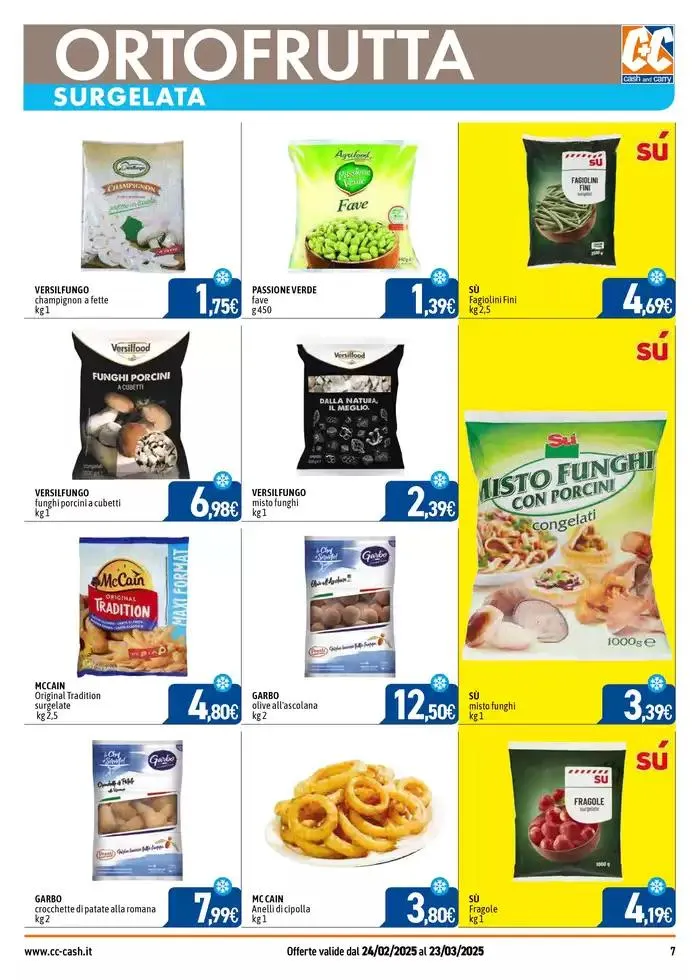 PROFESSIONAL da 24 febbraio a 23 marzo di 2025 - Pagina del volantino 7