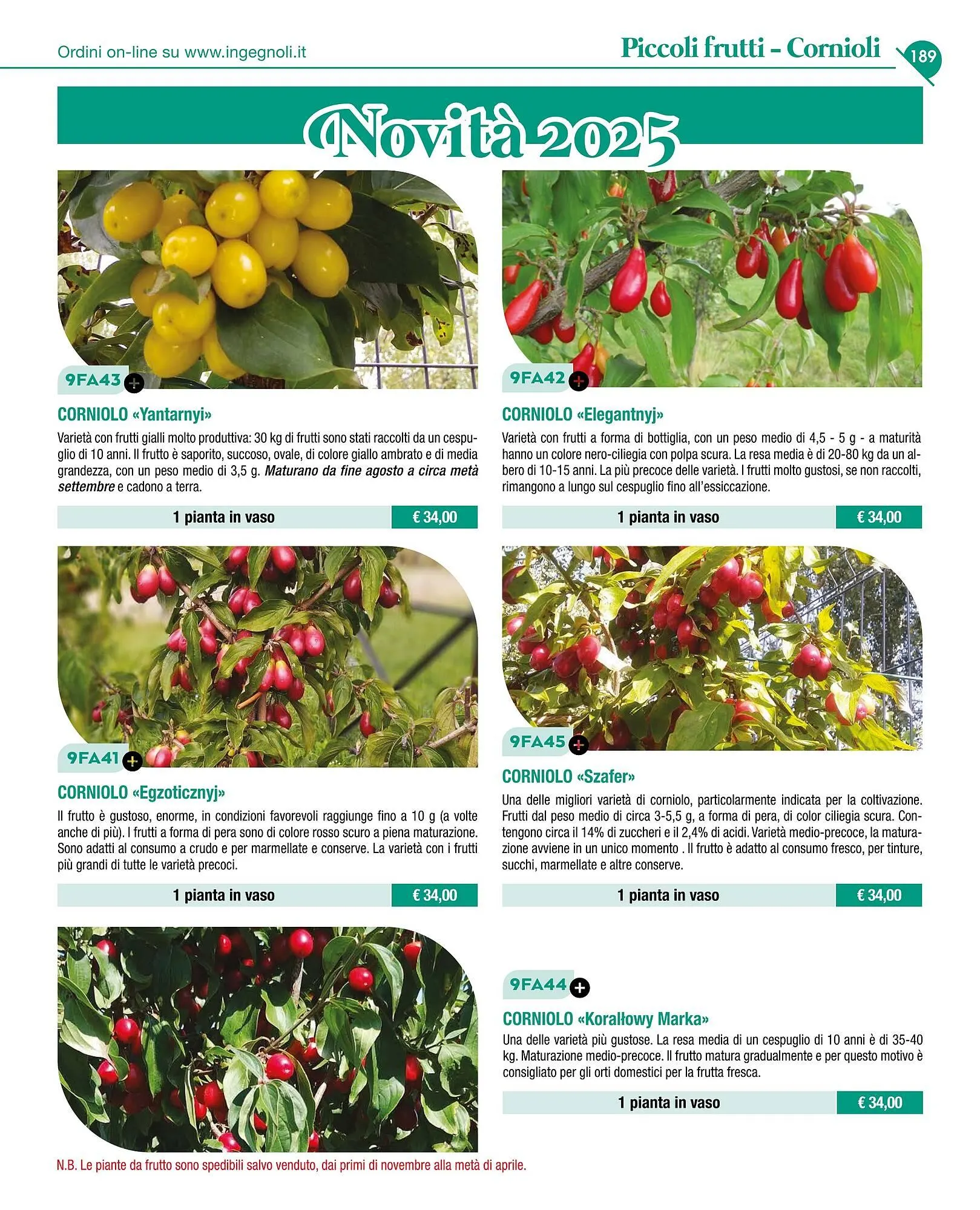 Volantino Ingegnoli da 4 novembre a 31 dicembre di 2025 - Pagina del volantino 191