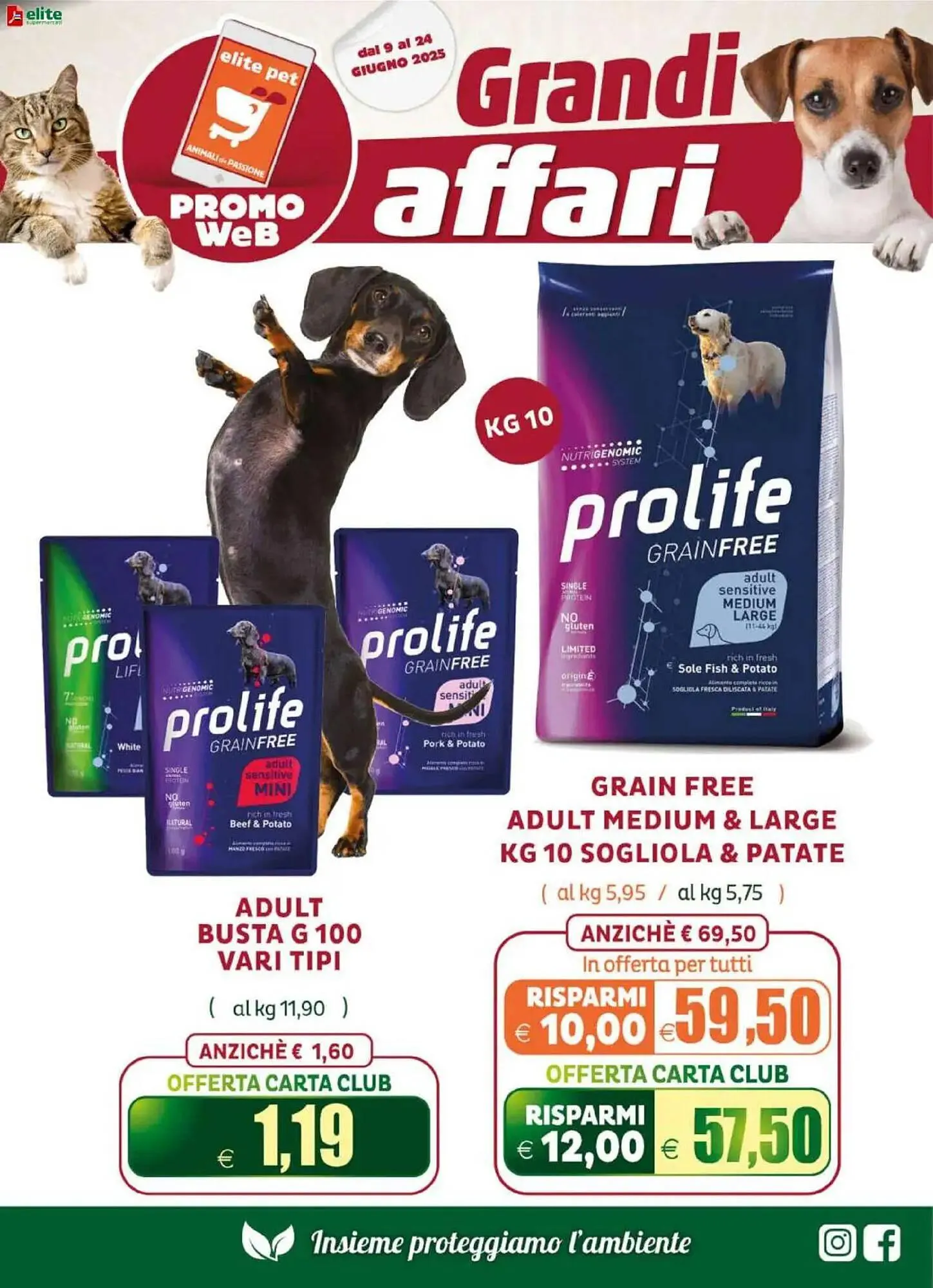 Volantino Elite Pet da 9 giugno a 24 giugno di 2025 - Pagina del volantino 3