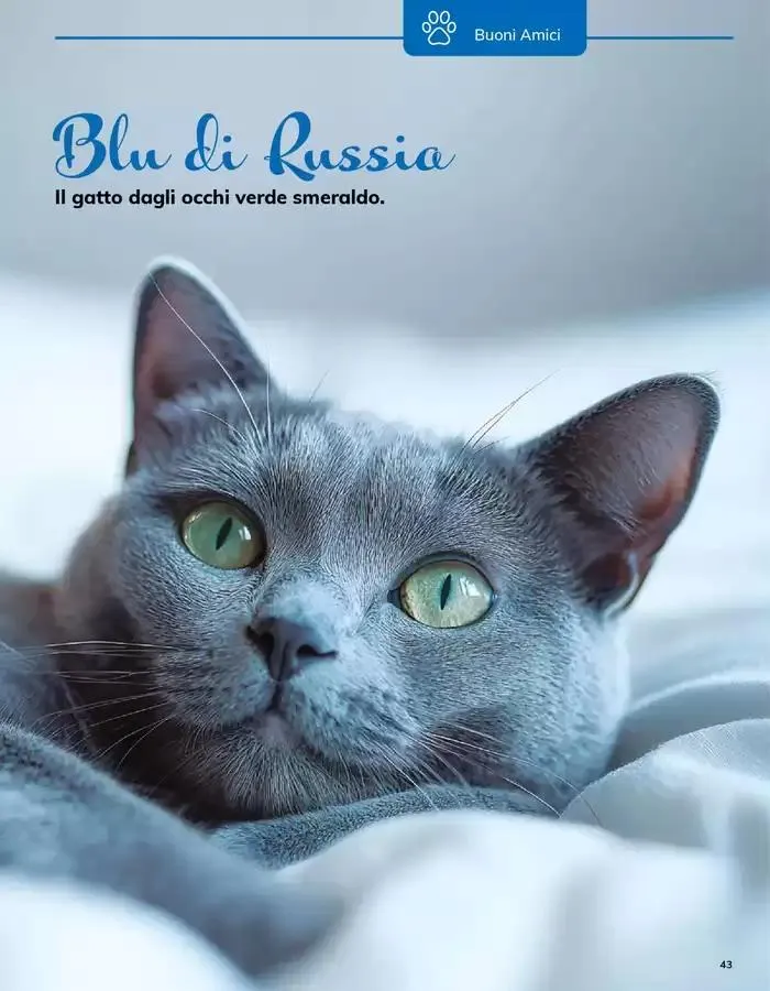 Sapori Italiani da 12 marzo a 31 marzo di 2025 - Pagina del volantino 43