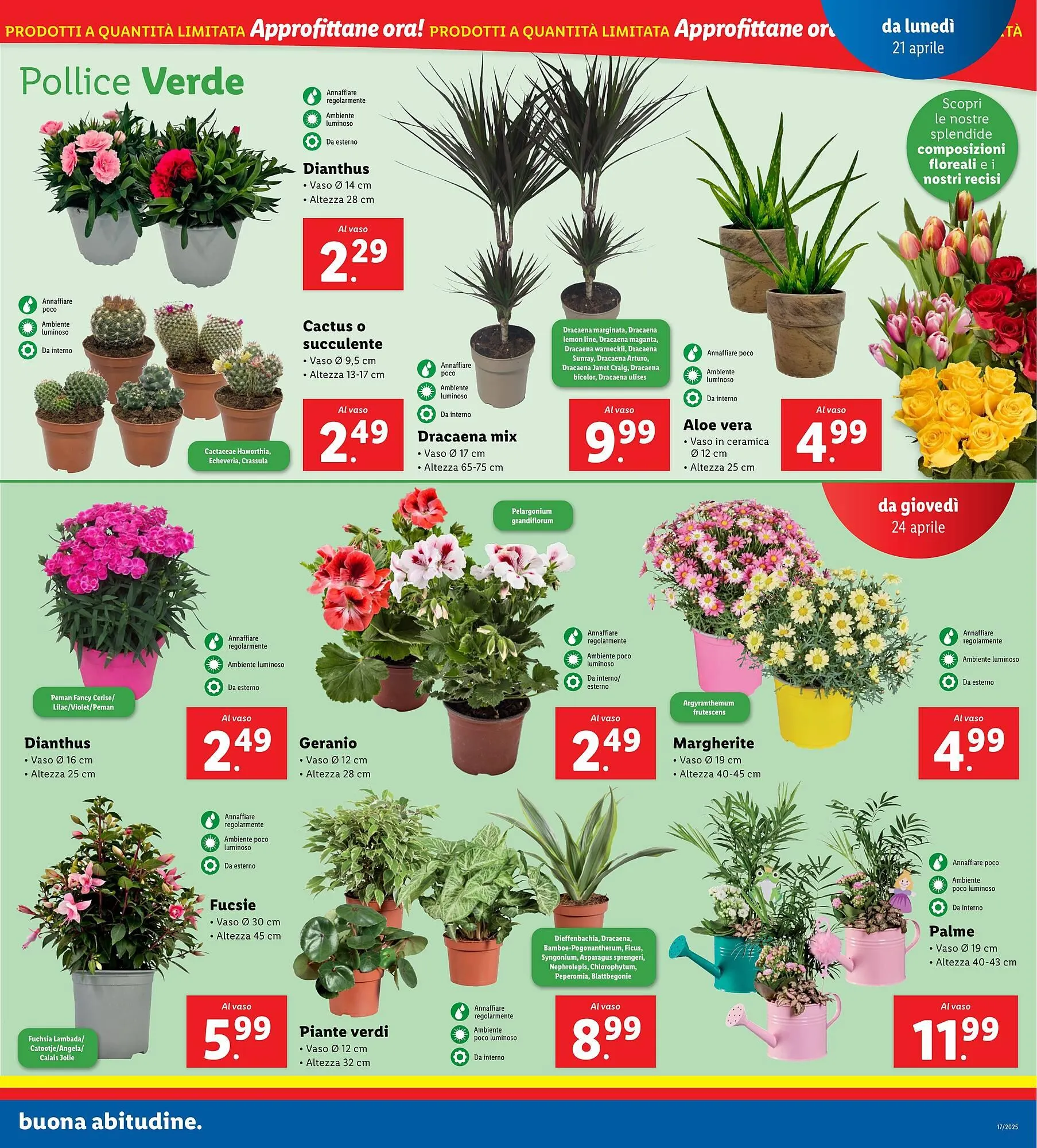 Volantino Lidl da 21 aprile a 27 aprile di 2025 - Pagina del volantino 19