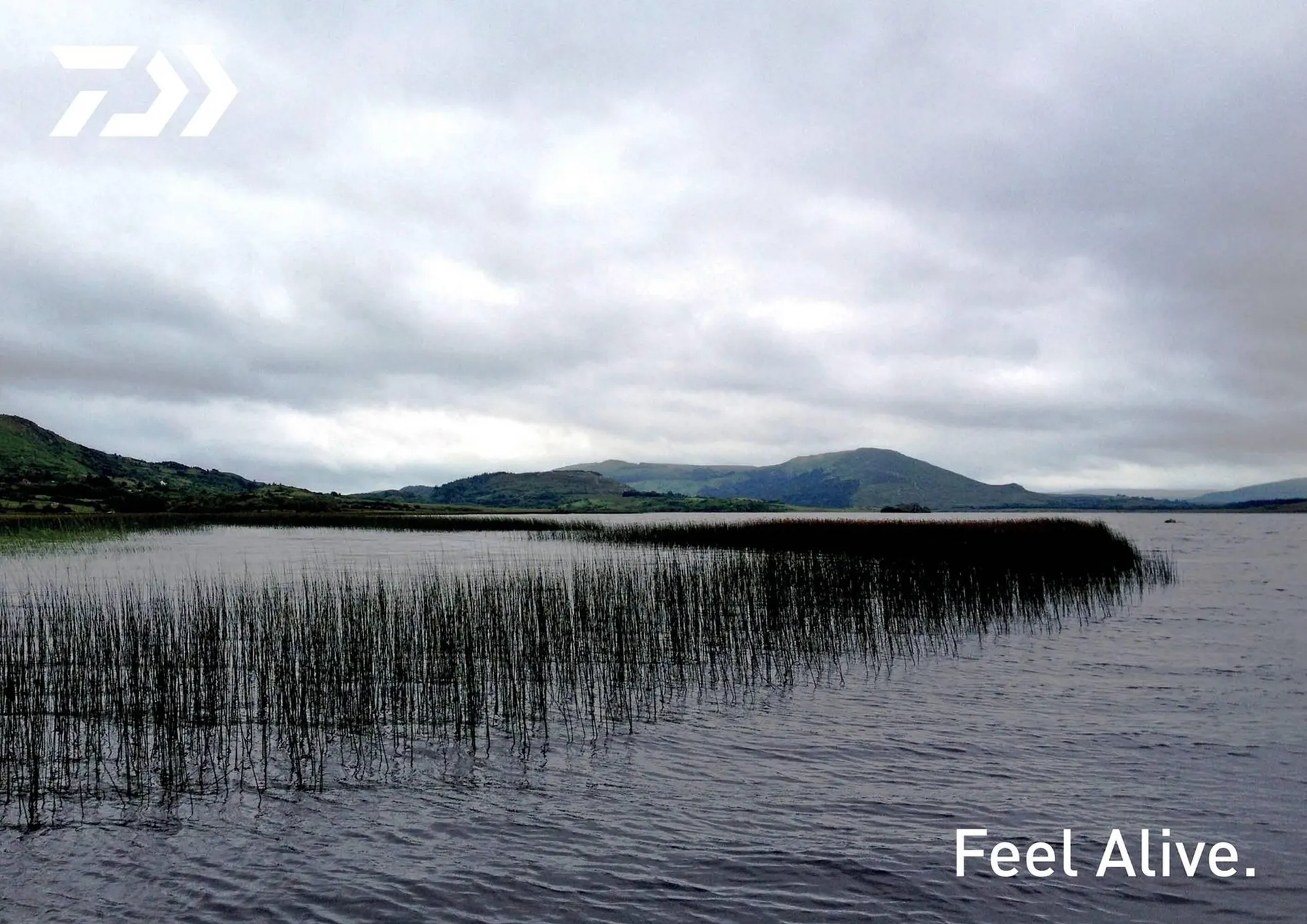 Volantino Daiwa da 13 dicembre a 30 dicembre di 2024 - Pagina del volantino 62