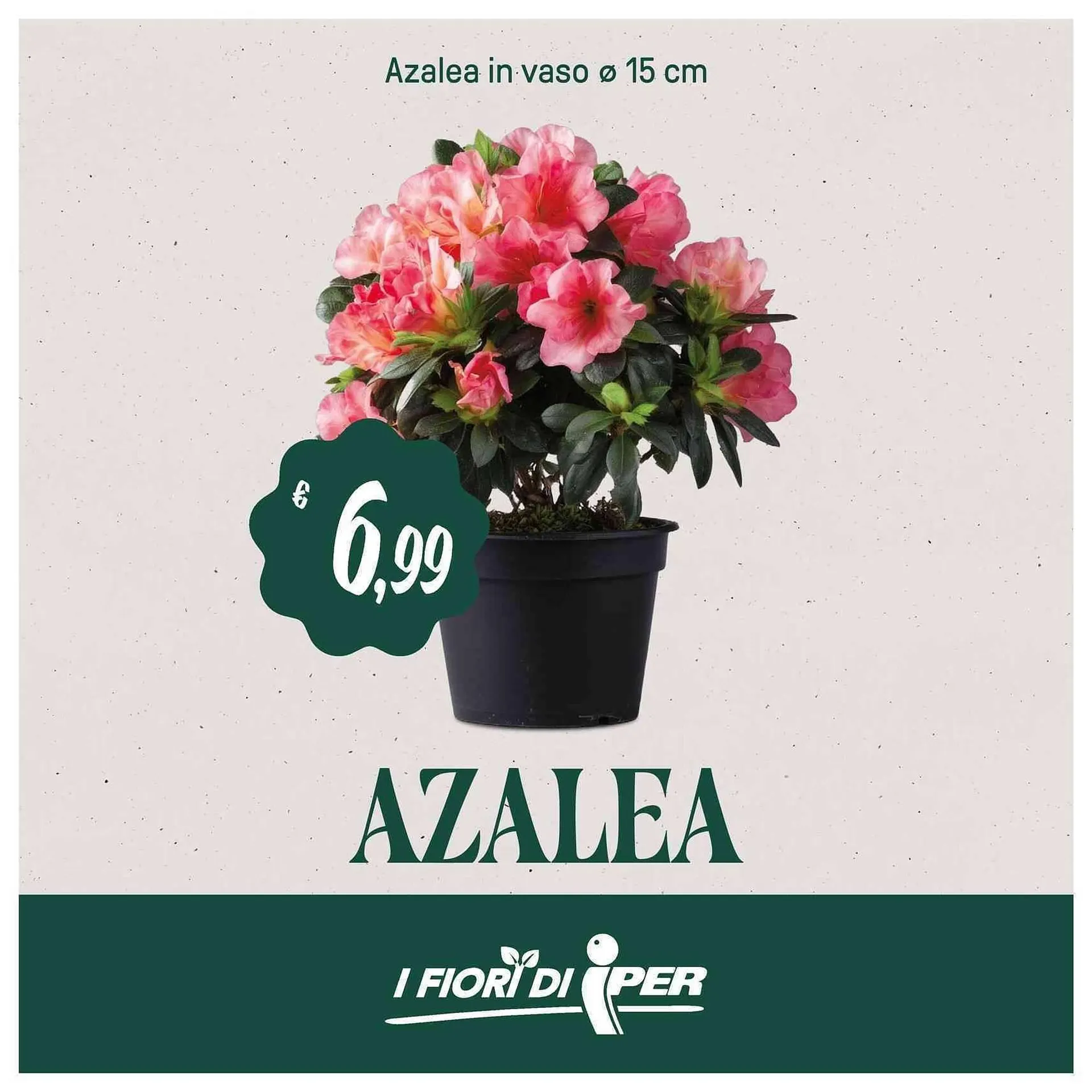 Volantino Iper La Grande da 19 marzo a 29 marzo di 2026 - Pagina del volantino 39