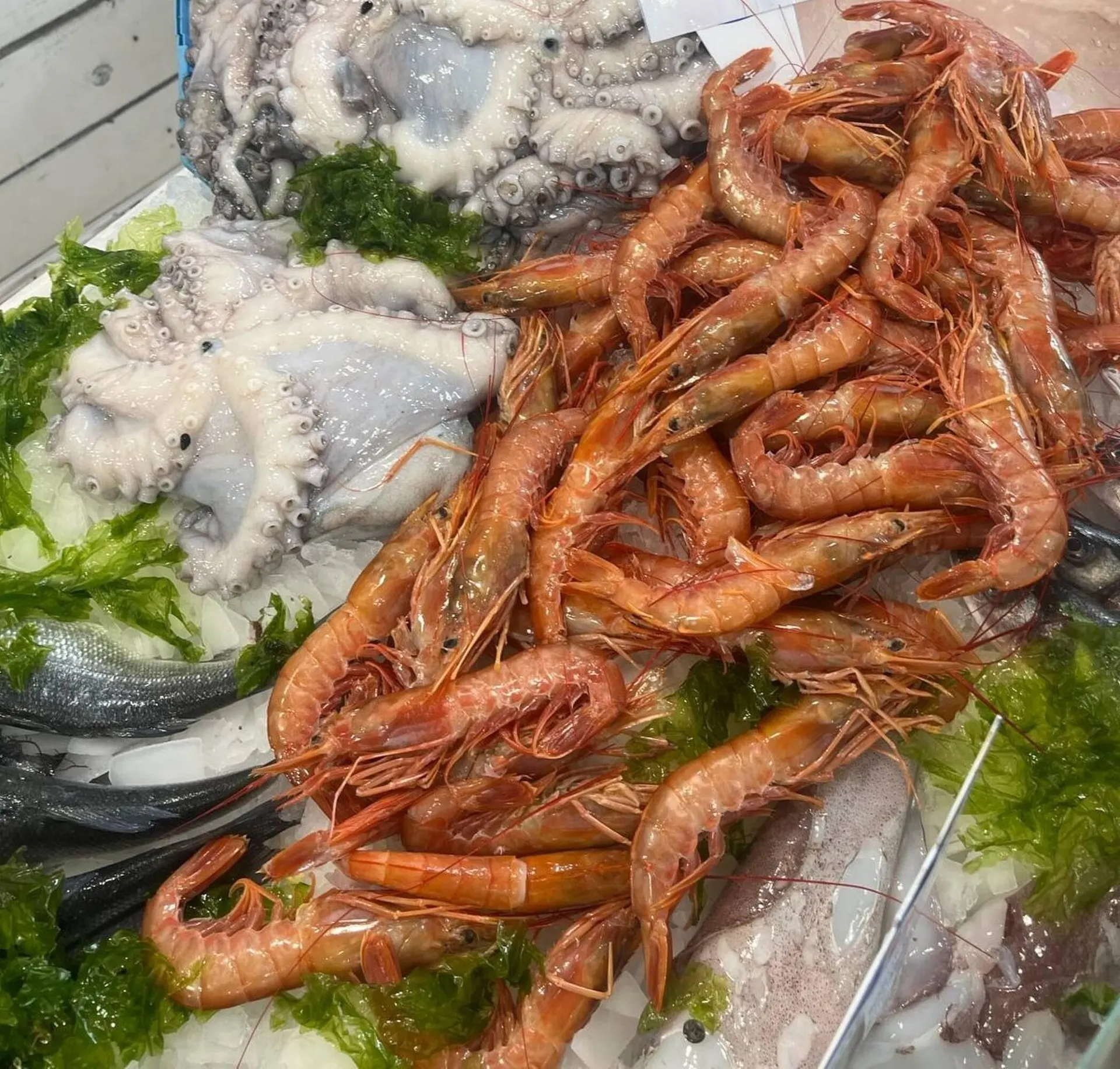 Volantino Oceano Surgelati da 10 aprile a 20 aprile di 2024 - Pagina del volantino 