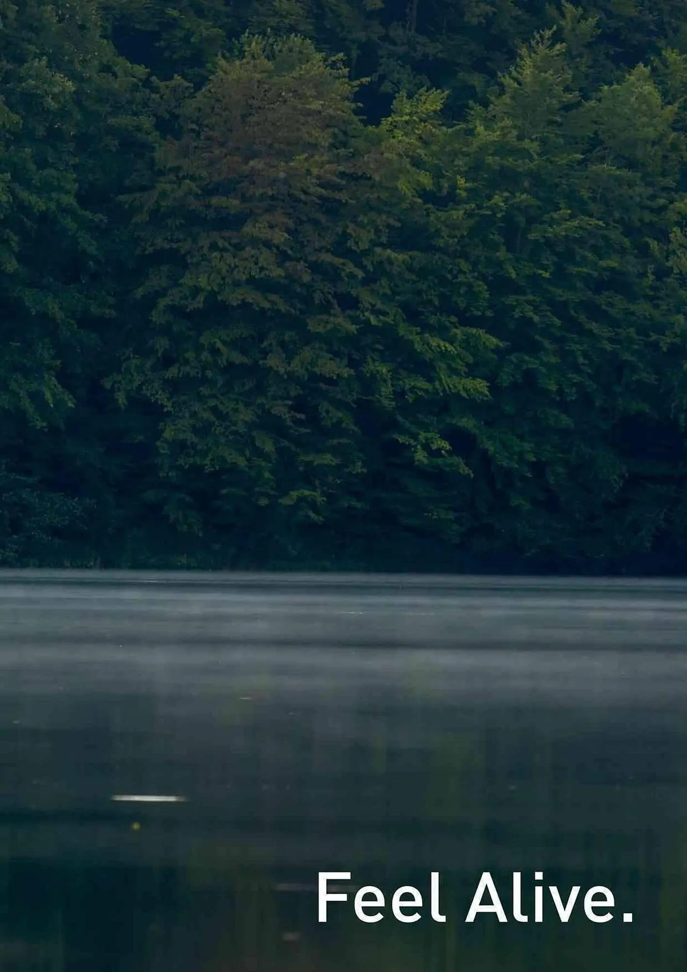 Volantino Daiwa da 4 febbraio a 31 dicembre di 2025 - Pagina del volantino 145