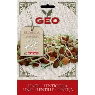 GERMOGLI - LENTICCHIE -