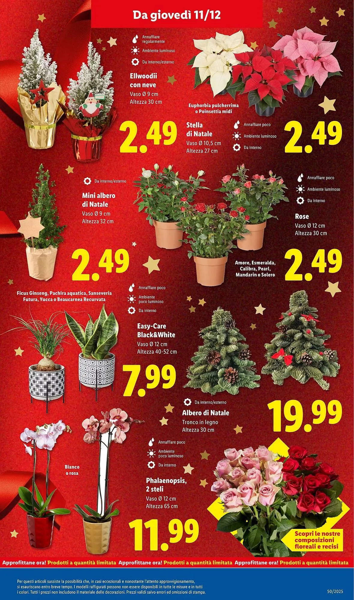 Volantino Lidl da 8 dicembre a 14 dicembre di 2025 - Pagina del volantino 33